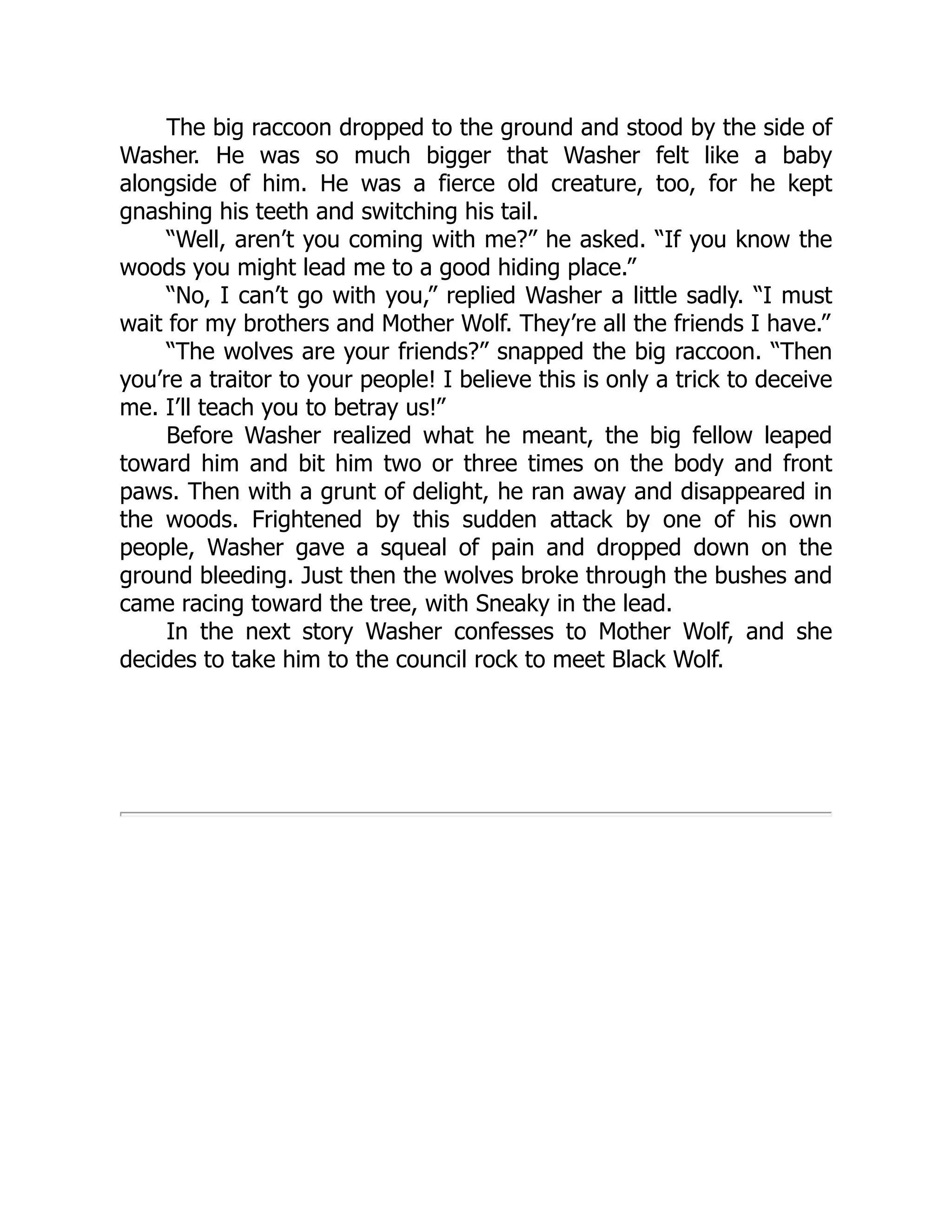The big raccoon dropped to the ground and stood by the side of
Washer. He was so much bigger that Washer felt like a baby
alongside of him. He was a fierce old creature, too, for he kept
gnashing his teeth and switching his tail.
“Well, aren’t you coming with me?” he asked. “If you know the
woods you might lead me to a good hiding place.”
“No, I can’t go with you,” replied Washer a little sadly. “I must
wait for my brothers and Mother Wolf. They’re all the friends I have.”
“The wolves are your friends?” snapped the big raccoon. “Then
you’re a traitor to your people! I believe this is only a trick to deceive
me. I’ll teach you to betray us!”
Before Washer realized what he meant, the big fellow leaped
toward him and bit him two or three times on the body and front
paws. Then with a grunt of delight, he ran away and disappeared in
the woods. Frightened by this sudden attack by one of his own
people, Washer gave a squeal of pain and dropped down on the
ground bleeding. Just then the wolves broke through the bushes and
came racing toward the tree, with Sneaky in the lead.
In the next story Washer confesses to Mother Wolf, and she
decides to take him to the council rock to meet Black Wolf.
 