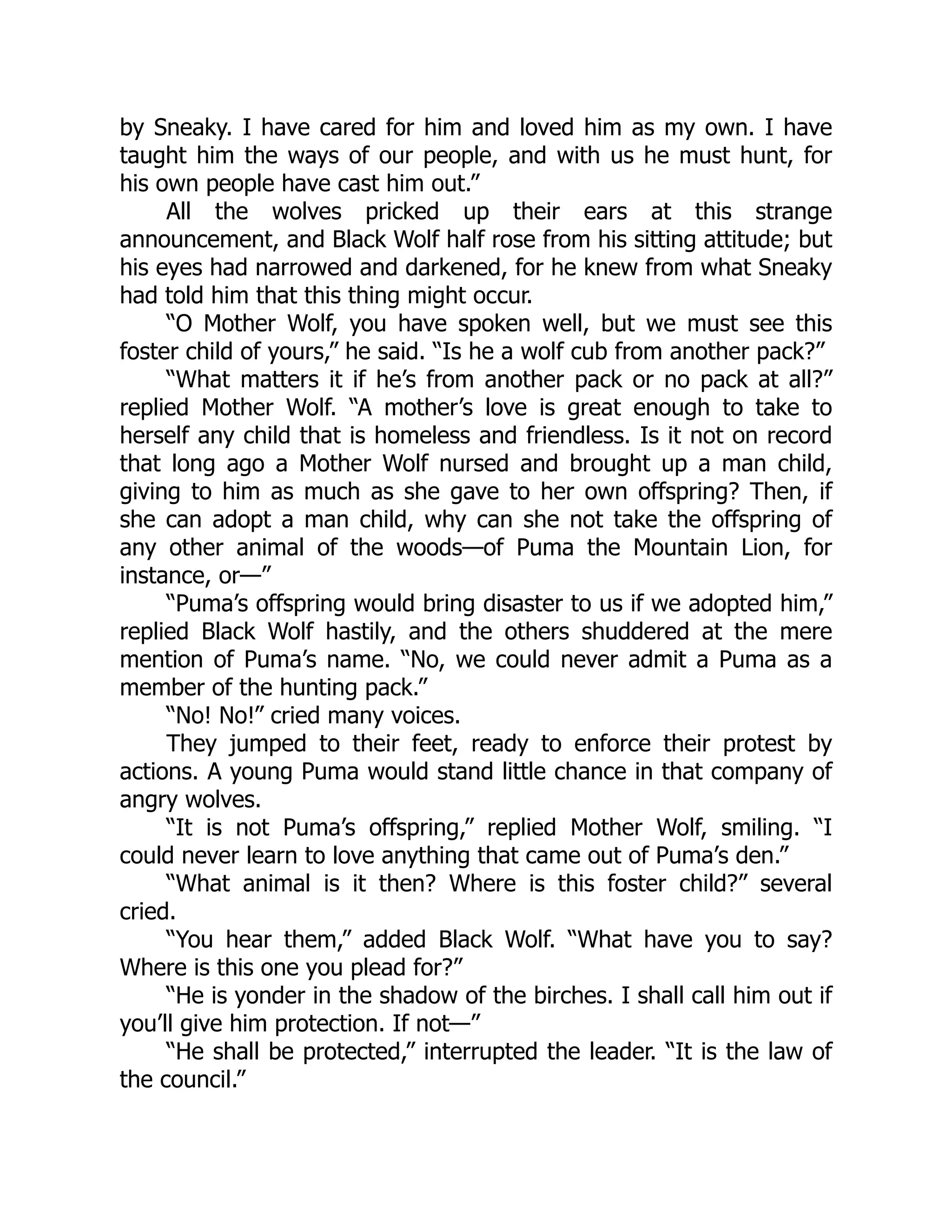 by Sneaky. I have cared for him and loved him as my own. I have
taught him the ways of our people, and with us he must hunt, for
his own people have cast him out.”
All the wolves pricked up their ears at this strange
announcement, and Black Wolf half rose from his sitting attitude; but
his eyes had narrowed and darkened, for he knew from what Sneaky
had told him that this thing might occur.
“O Mother Wolf, you have spoken well, but we must see this
foster child of yours,” he said. “Is he a wolf cub from another pack?”
“What matters it if he’s from another pack or no pack at all?”
replied Mother Wolf. “A mother’s love is great enough to take to
herself any child that is homeless and friendless. Is it not on record
that long ago a Mother Wolf nursed and brought up a man child,
giving to him as much as she gave to her own offspring? Then, if
she can adopt a man child, why can she not take the offspring of
any other animal of the woods—of Puma the Mountain Lion, for
instance, or—”
“Puma’s offspring would bring disaster to us if we adopted him,”
replied Black Wolf hastily, and the others shuddered at the mere
mention of Puma’s name. “No, we could never admit a Puma as a
member of the hunting pack.”
“No! No!” cried many voices.
They jumped to their feet, ready to enforce their protest by
actions. A young Puma would stand little chance in that company of
angry wolves.
“It is not Puma’s offspring,” replied Mother Wolf, smiling. “I
could never learn to love anything that came out of Puma’s den.”
“What animal is it then? Where is this foster child?” several
cried.
“You hear them,” added Black Wolf. “What have you to say?
Where is this one you plead for?”
“He is yonder in the shadow of the birches. I shall call him out if
you’ll give him protection. If not—”
“He shall be protected,” interrupted the leader. “It is the law of
the council.”
 