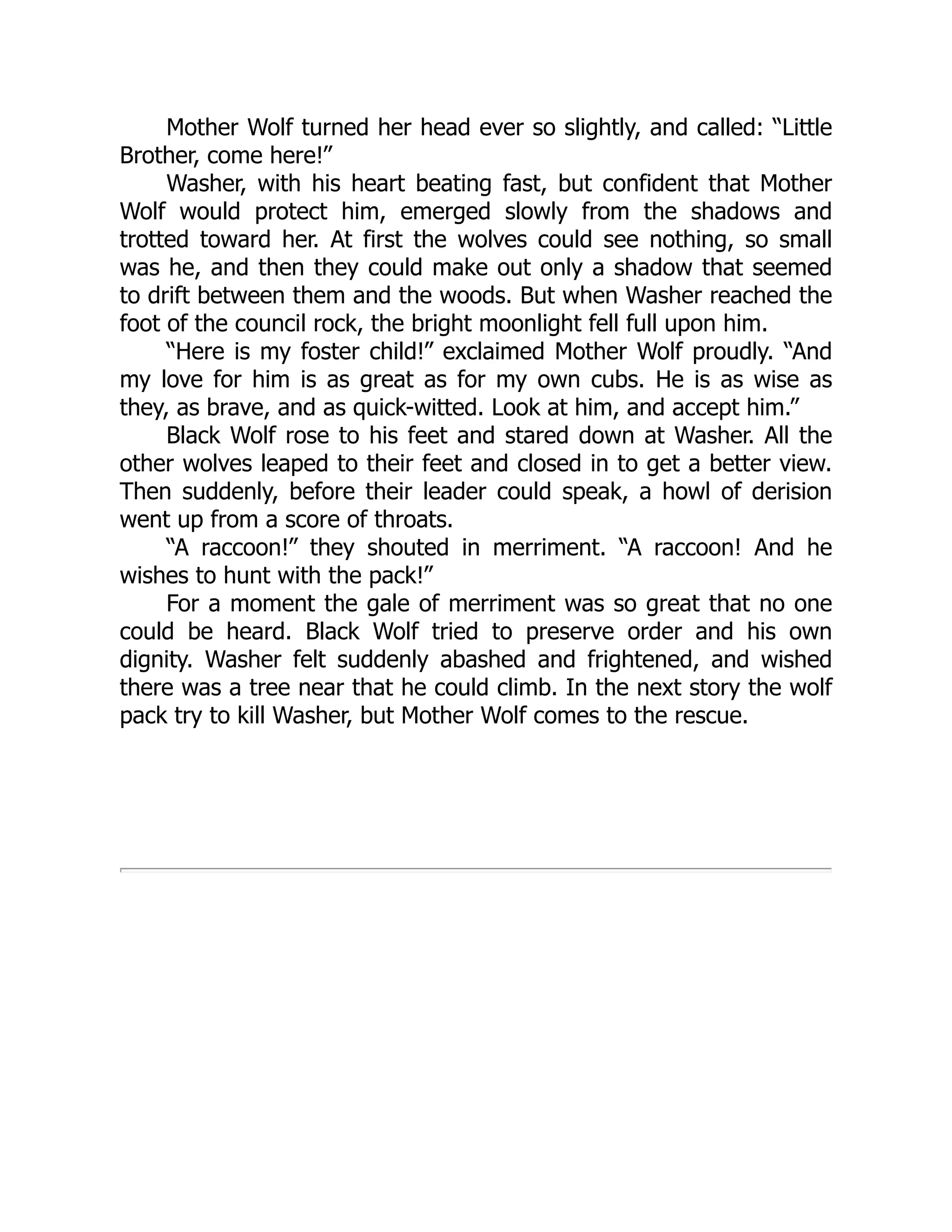 Mother Wolf turned her head ever so slightly, and called: “Little
Brother, come here!”
Washer, with his heart beating fast, but confident that Mother
Wolf would protect him, emerged slowly from the shadows and
trotted toward her. At first the wolves could see nothing, so small
was he, and then they could make out only a shadow that seemed
to drift between them and the woods. But when Washer reached the
foot of the council rock, the bright moonlight fell full upon him.
“Here is my foster child!” exclaimed Mother Wolf proudly. “And
my love for him is as great as for my own cubs. He is as wise as
they, as brave, and as quick-witted. Look at him, and accept him.”
Black Wolf rose to his feet and stared down at Washer. All the
other wolves leaped to their feet and closed in to get a better view.
Then suddenly, before their leader could speak, a howl of derision
went up from a score of throats.
“A raccoon!” they shouted in merriment. “A raccoon! And he
wishes to hunt with the pack!”
For a moment the gale of merriment was so great that no one
could be heard. Black Wolf tried to preserve order and his own
dignity. Washer felt suddenly abashed and frightened, and wished
there was a tree near that he could climb. In the next story the wolf
pack try to kill Washer, but Mother Wolf comes to the rescue.
 