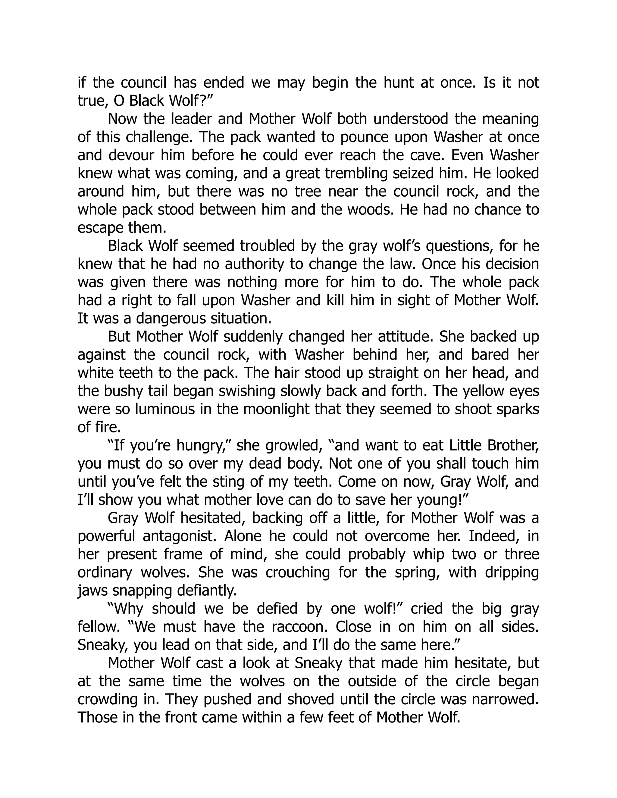 if the council has ended we may begin the hunt at once. Is it not
true, O Black Wolf?”
Now the leader and Mother Wolf both understood the meaning
of this challenge. The pack wanted to pounce upon Washer at once
and devour him before he could ever reach the cave. Even Washer
knew what was coming, and a great trembling seized him. He looked
around him, but there was no tree near the council rock, and the
whole pack stood between him and the woods. He had no chance to
escape them.
Black Wolf seemed troubled by the gray wolf’s questions, for he
knew that he had no authority to change the law. Once his decision
was given there was nothing more for him to do. The whole pack
had a right to fall upon Washer and kill him in sight of Mother Wolf.
It was a dangerous situation.
But Mother Wolf suddenly changed her attitude. She backed up
against the council rock, with Washer behind her, and bared her
white teeth to the pack. The hair stood up straight on her head, and
the bushy tail began swishing slowly back and forth. The yellow eyes
were so luminous in the moonlight that they seemed to shoot sparks
of fire.
“If you’re hungry,” she growled, “and want to eat Little Brother,
you must do so over my dead body. Not one of you shall touch him
until you’ve felt the sting of my teeth. Come on now, Gray Wolf, and
I’ll show you what mother love can do to save her young!”
Gray Wolf hesitated, backing off a little, for Mother Wolf was a
powerful antagonist. Alone he could not overcome her. Indeed, in
her present frame of mind, she could probably whip two or three
ordinary wolves. She was crouching for the spring, with dripping
jaws snapping defiantly.
“Why should we be defied by one wolf!” cried the big gray
fellow. “We must have the raccoon. Close in on him on all sides.
Sneaky, you lead on that side, and I’ll do the same here.”
Mother Wolf cast a look at Sneaky that made him hesitate, but
at the same time the wolves on the outside of the circle began
crowding in. They pushed and shoved until the circle was narrowed.
Those in the front came within a few feet of Mother Wolf.
 