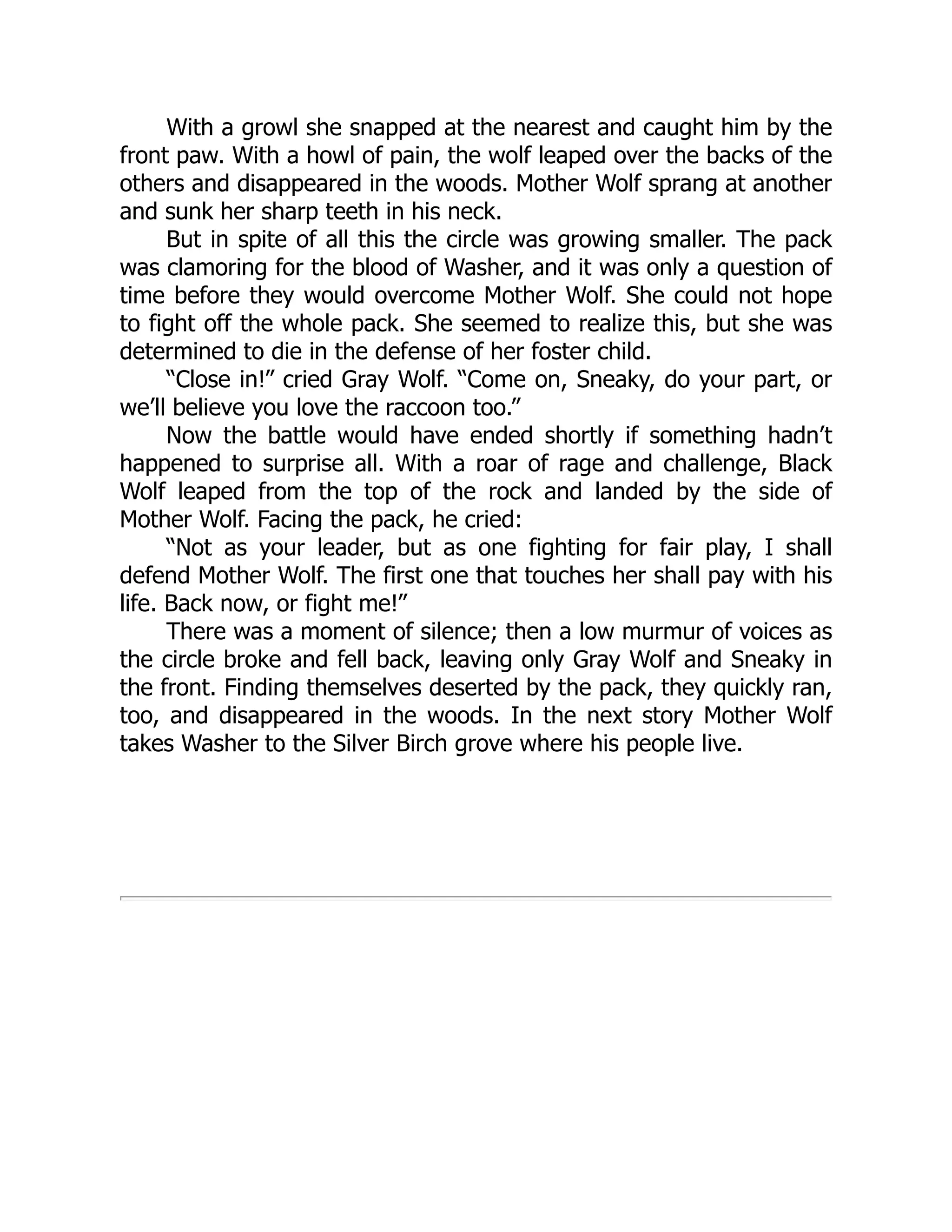 With a growl she snapped at the nearest and caught him by the
front paw. With a howl of pain, the wolf leaped over the backs of the
others and disappeared in the woods. Mother Wolf sprang at another
and sunk her sharp teeth in his neck.
But in spite of all this the circle was growing smaller. The pack
was clamoring for the blood of Washer, and it was only a question of
time before they would overcome Mother Wolf. She could not hope
to fight off the whole pack. She seemed to realize this, but she was
determined to die in the defense of her foster child.
“Close in!” cried Gray Wolf. “Come on, Sneaky, do your part, or
we’ll believe you love the raccoon too.”
Now the battle would have ended shortly if something hadn’t
happened to surprise all. With a roar of rage and challenge, Black
Wolf leaped from the top of the rock and landed by the side of
Mother Wolf. Facing the pack, he cried:
“Not as your leader, but as one fighting for fair play, I shall
defend Mother Wolf. The first one that touches her shall pay with his
life. Back now, or fight me!”
There was a moment of silence; then a low murmur of voices as
the circle broke and fell back, leaving only Gray Wolf and Sneaky in
the front. Finding themselves deserted by the pack, they quickly ran,
too, and disappeared in the woods. In the next story Mother Wolf
takes Washer to the Silver Birch grove where his people live.
 