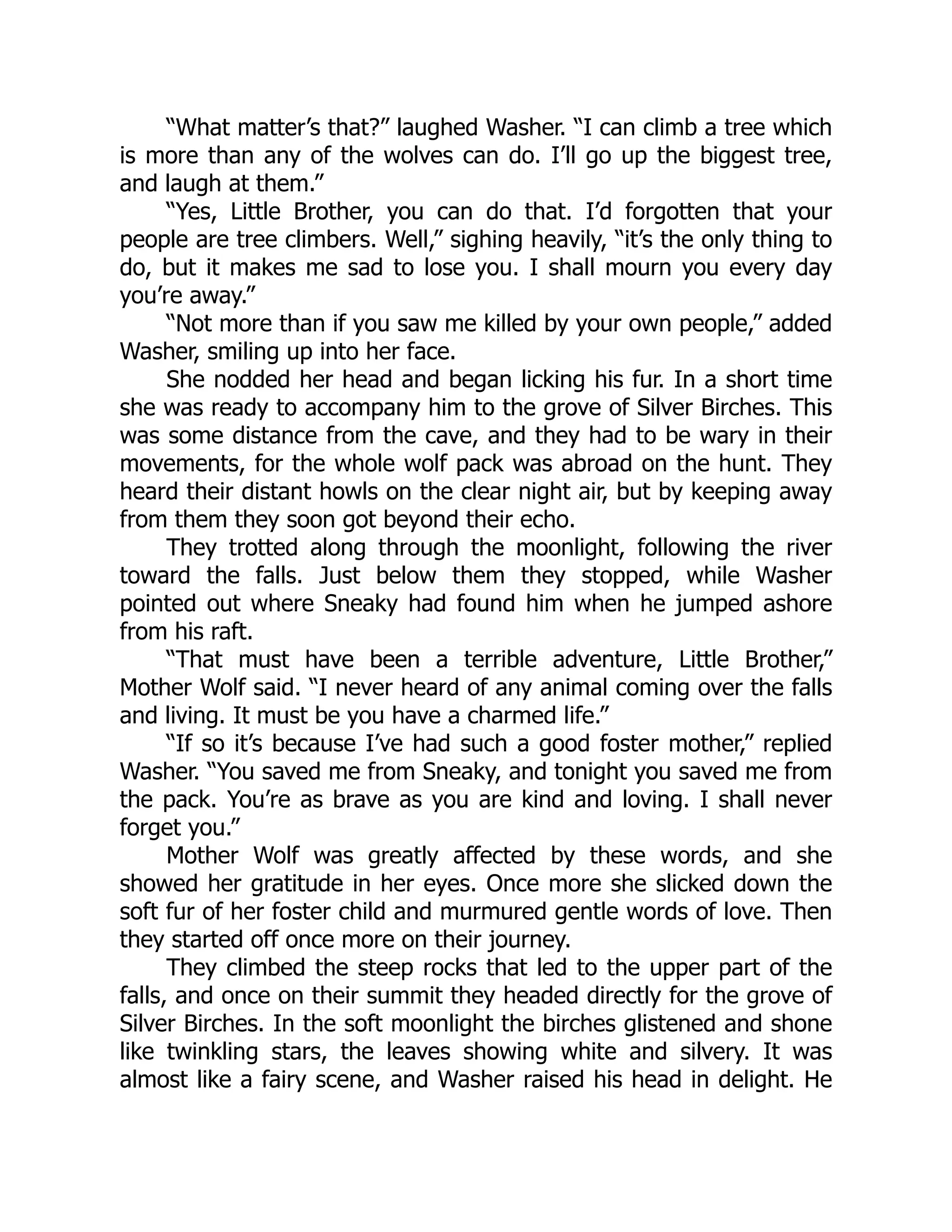 “What matter’s that?” laughed Washer. “I can climb a tree which
is more than any of the wolves can do. I’ll go up the biggest tree,
and laugh at them.”
“Yes, Little Brother, you can do that. I’d forgotten that your
people are tree climbers. Well,” sighing heavily, “it’s the only thing to
do, but it makes me sad to lose you. I shall mourn you every day
you’re away.”
“Not more than if you saw me killed by your own people,” added
Washer, smiling up into her face.
She nodded her head and began licking his fur. In a short time
she was ready to accompany him to the grove of Silver Birches. This
was some distance from the cave, and they had to be wary in their
movements, for the whole wolf pack was abroad on the hunt. They
heard their distant howls on the clear night air, but by keeping away
from them they soon got beyond their echo.
They trotted along through the moonlight, following the river
toward the falls. Just below them they stopped, while Washer
pointed out where Sneaky had found him when he jumped ashore
from his raft.
“That must have been a terrible adventure, Little Brother,”
Mother Wolf said. “I never heard of any animal coming over the falls
and living. It must be you have a charmed life.”
“If so it’s because I’ve had such a good foster mother,” replied
Washer. “You saved me from Sneaky, and tonight you saved me from
the pack. You’re as brave as you are kind and loving. I shall never
forget you.”
Mother Wolf was greatly affected by these words, and she
showed her gratitude in her eyes. Once more she slicked down the
soft fur of her foster child and murmured gentle words of love. Then
they started off once more on their journey.
They climbed the steep rocks that led to the upper part of the
falls, and once on their summit they headed directly for the grove of
Silver Birches. In the soft moonlight the birches glistened and shone
like twinkling stars, the leaves showing white and silvery. It was
almost like a fairy scene, and Washer raised his head in delight. He
 