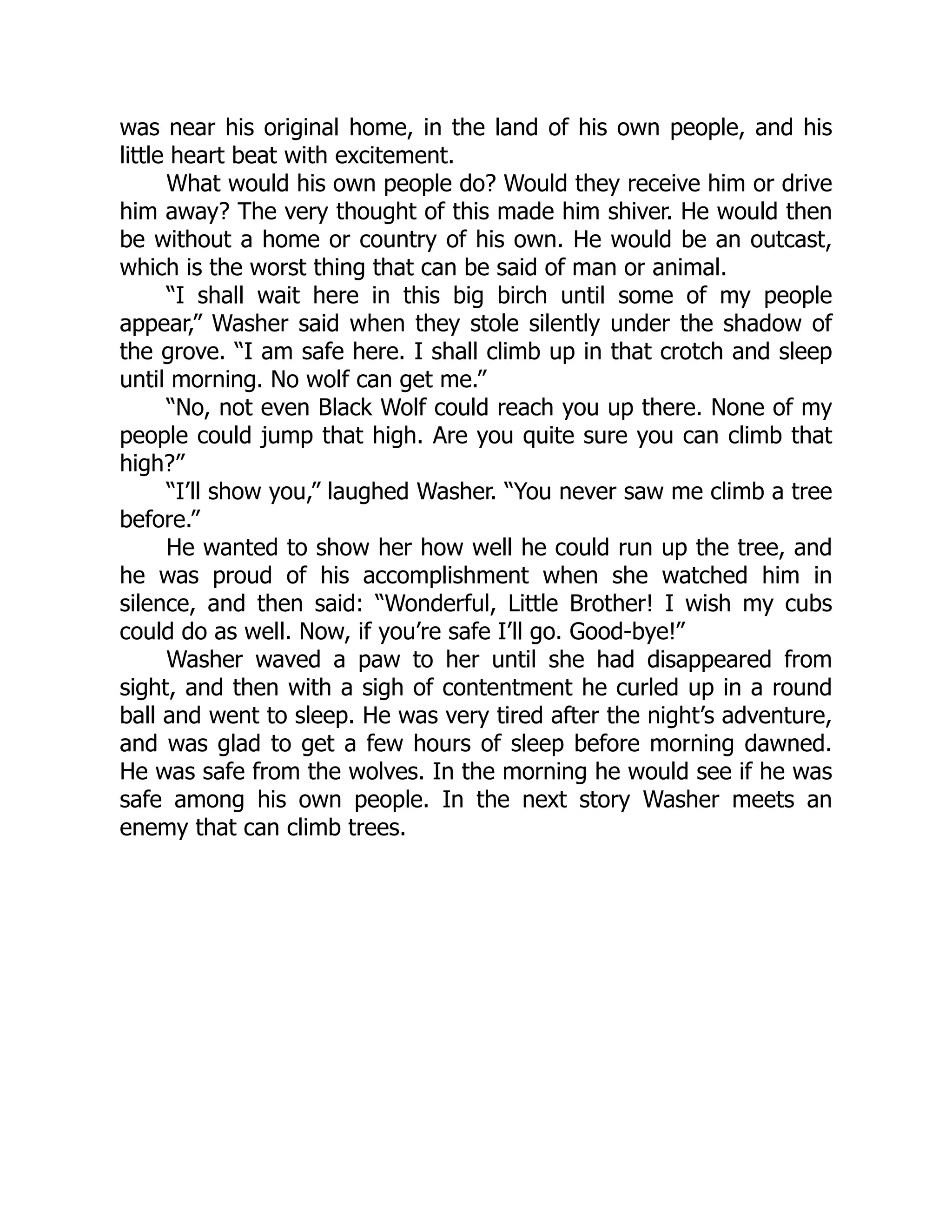 was near his original home, in the land of his own people, and his
little heart beat with excitement.
What would his own people do? Would they receive him or drive
him away? The very thought of this made him shiver. He would then
be without a home or country of his own. He would be an outcast,
which is the worst thing that can be said of man or animal.
“I shall wait here in this big birch until some of my people
appear,” Washer said when they stole silently under the shadow of
the grove. “I am safe here. I shall climb up in that crotch and sleep
until morning. No wolf can get me.”
“No, not even Black Wolf could reach you up there. None of my
people could jump that high. Are you quite sure you can climb that
high?”
“I’ll show you,” laughed Washer. “You never saw me climb a tree
before.”
He wanted to show her how well he could run up the tree, and
he was proud of his accomplishment when she watched him in
silence, and then said: “Wonderful, Little Brother! I wish my cubs
could do as well. Now, if you’re safe I’ll go. Good-bye!”
Washer waved a paw to her until she had disappeared from
sight, and then with a sigh of contentment he curled up in a round
ball and went to sleep. He was very tired after the night’s adventure,
and was glad to get a few hours of sleep before morning dawned.
He was safe from the wolves. In the morning he would see if he was
safe among his own people. In the next story Washer meets an
enemy that can climb trees.
 