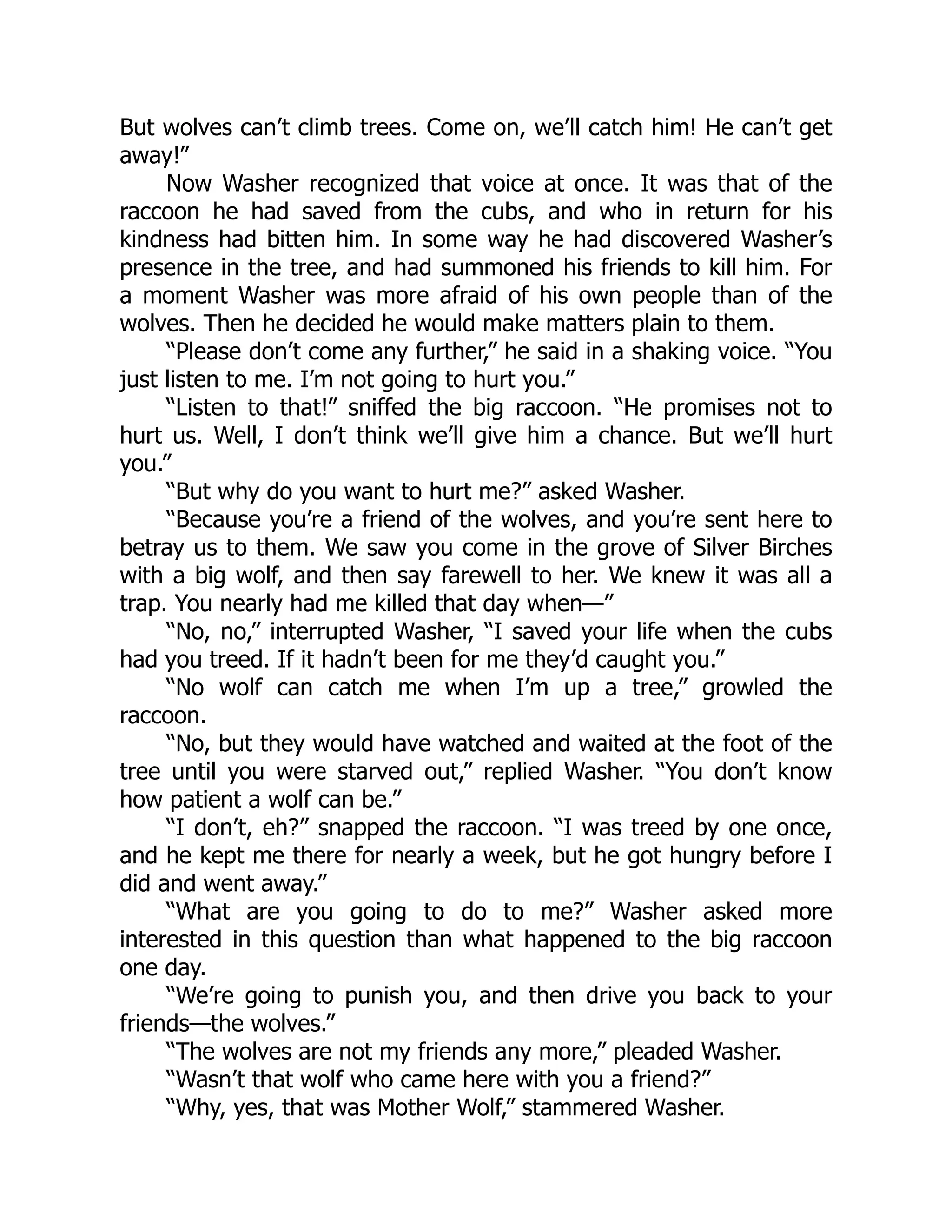 But wolves can’t climb trees. Come on, we’ll catch him! He can’t get
away!”
Now Washer recognized that voice at once. It was that of the
raccoon he had saved from the cubs, and who in return for his
kindness had bitten him. In some way he had discovered Washer’s
presence in the tree, and had summoned his friends to kill him. For
a moment Washer was more afraid of his own people than of the
wolves. Then he decided he would make matters plain to them.
“Please don’t come any further,” he said in a shaking voice. “You
just listen to me. I’m not going to hurt you.”
“Listen to that!” sniffed the big raccoon. “He promises not to
hurt us. Well, I don’t think we’ll give him a chance. But we’ll hurt
you.”
“But why do you want to hurt me?” asked Washer.
“Because you’re a friend of the wolves, and you’re sent here to
betray us to them. We saw you come in the grove of Silver Birches
with a big wolf, and then say farewell to her. We knew it was all a
trap. You nearly had me killed that day when—”
“No, no,” interrupted Washer, “I saved your life when the cubs
had you treed. If it hadn’t been for me they’d caught you.”
“No wolf can catch me when I’m up a tree,” growled the
raccoon.
“No, but they would have watched and waited at the foot of the
tree until you were starved out,” replied Washer. “You don’t know
how patient a wolf can be.”
“I don’t, eh?” snapped the raccoon. “I was treed by one once,
and he kept me there for nearly a week, but he got hungry before I
did and went away.”
“What are you going to do to me?” Washer asked more
interested in this question than what happened to the big raccoon
one day.
“We’re going to punish you, and then drive you back to your
friends—the wolves.”
“The wolves are not my friends any more,” pleaded Washer.
“Wasn’t that wolf who came here with you a friend?”
“Why, yes, that was Mother Wolf,” stammered Washer.
 
