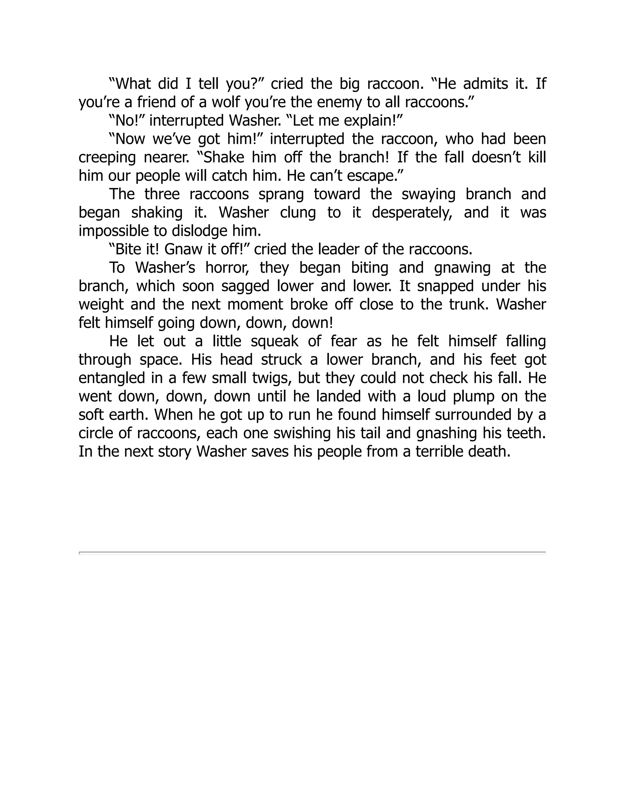 “What did I tell you?” cried the big raccoon. “He admits it. If
you’re a friend of a wolf you’re the enemy to all raccoons.”
“No!” interrupted Washer. “Let me explain!”
“Now we’ve got him!” interrupted the raccoon, who had been
creeping nearer. “Shake him off the branch! If the fall doesn’t kill
him our people will catch him. He can’t escape.”
The three raccoons sprang toward the swaying branch and
began shaking it. Washer clung to it desperately, and it was
impossible to dislodge him.
“Bite it! Gnaw it off!” cried the leader of the raccoons.
To Washer’s horror, they began biting and gnawing at the
branch, which soon sagged lower and lower. It snapped under his
weight and the next moment broke off close to the trunk. Washer
felt himself going down, down, down!
He let out a little squeak of fear as he felt himself falling
through space. His head struck a lower branch, and his feet got
entangled in a few small twigs, but they could not check his fall. He
went down, down, down until he landed with a loud plump on the
soft earth. When he got up to run he found himself surrounded by a
circle of raccoons, each one swishing his tail and gnashing his teeth.
In the next story Washer saves his people from a terrible death.
 