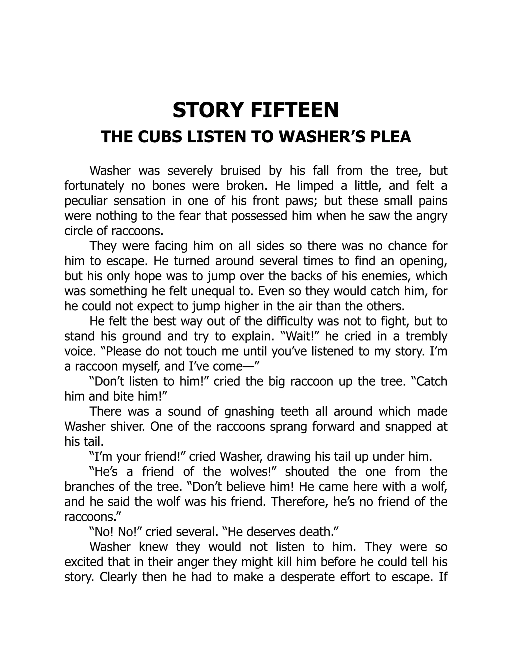 STORY FIFTEEN
THE CUBS LISTEN TO WASHER’S PLEA
Washer was severely bruised by his fall from the tree, but
fortunately no bones were broken. He limped a little, and felt a
peculiar sensation in one of his front paws; but these small pains
were nothing to the fear that possessed him when he saw the angry
circle of raccoons.
They were facing him on all sides so there was no chance for
him to escape. He turned around several times to find an opening,
but his only hope was to jump over the backs of his enemies, which
was something he felt unequal to. Even so they would catch him, for
he could not expect to jump higher in the air than the others.
He felt the best way out of the difficulty was not to fight, but to
stand his ground and try to explain. “Wait!” he cried in a trembly
voice. “Please do not touch me until you’ve listened to my story. I’m
a raccoon myself, and I’ve come—”
“Don’t listen to him!” cried the big raccoon up the tree. “Catch
him and bite him!”
There was a sound of gnashing teeth all around which made
Washer shiver. One of the raccoons sprang forward and snapped at
his tail.
“I’m your friend!” cried Washer, drawing his tail up under him.
“He’s a friend of the wolves!” shouted the one from the
branches of the tree. “Don’t believe him! He came here with a wolf,
and he said the wolf was his friend. Therefore, he’s no friend of the
raccoons.”
“No! No!” cried several. “He deserves death.”
Washer knew they would not listen to him. They were so
excited that in their anger they might kill him before he could tell his
story. Clearly then he had to make a desperate effort to escape. If
 