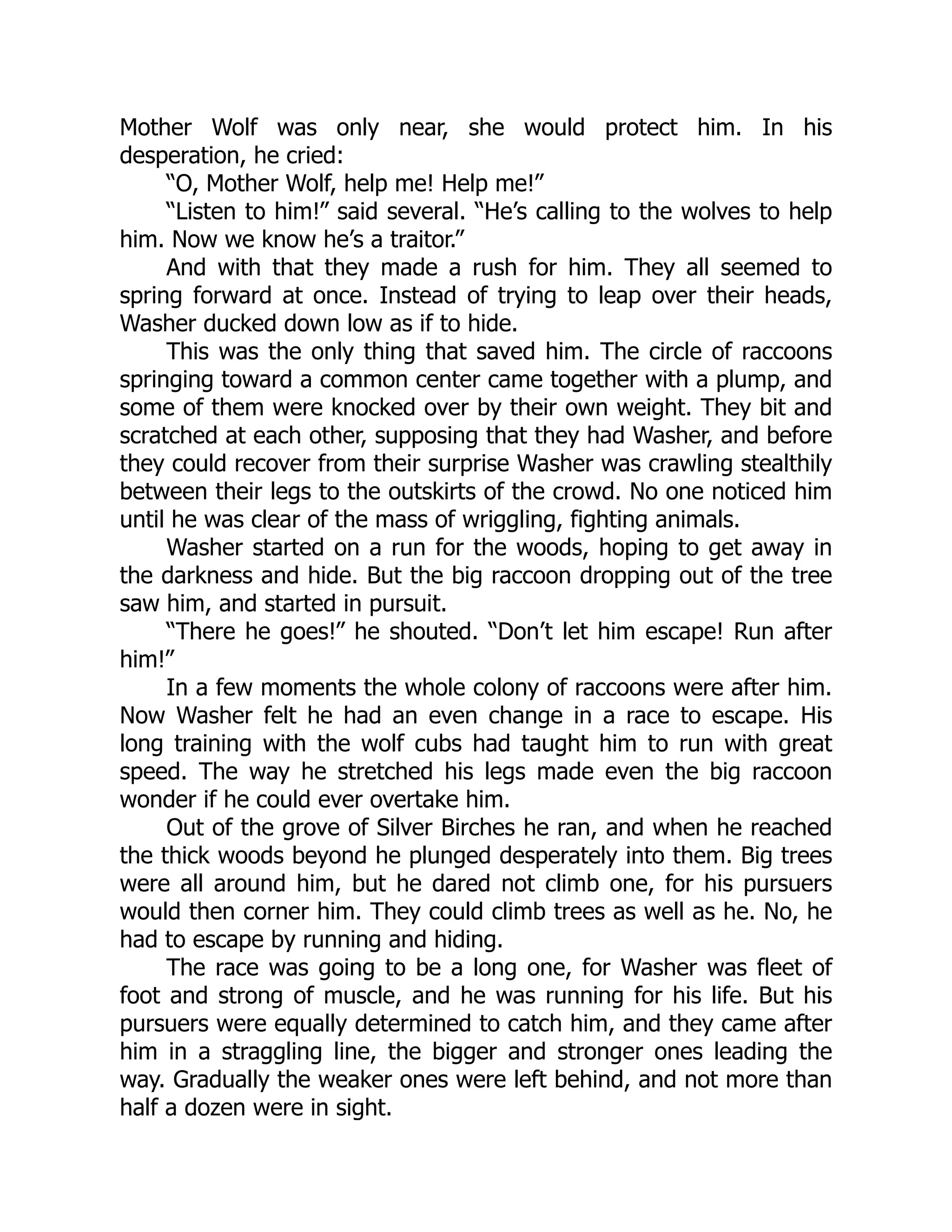 Mother Wolf was only near, she would protect him. In his
desperation, he cried:
“O, Mother Wolf, help me! Help me!”
“Listen to him!” said several. “He’s calling to the wolves to help
him. Now we know he’s a traitor.”
And with that they made a rush for him. They all seemed to
spring forward at once. Instead of trying to leap over their heads,
Washer ducked down low as if to hide.
This was the only thing that saved him. The circle of raccoons
springing toward a common center came together with a plump, and
some of them were knocked over by their own weight. They bit and
scratched at each other, supposing that they had Washer, and before
they could recover from their surprise Washer was crawling stealthily
between their legs to the outskirts of the crowd. No one noticed him
until he was clear of the mass of wriggling, fighting animals.
Washer started on a run for the woods, hoping to get away in
the darkness and hide. But the big raccoon dropping out of the tree
saw him, and started in pursuit.
“There he goes!” he shouted. “Don’t let him escape! Run after
him!”
In a few moments the whole colony of raccoons were after him.
Now Washer felt he had an even change in a race to escape. His
long training with the wolf cubs had taught him to run with great
speed. The way he stretched his legs made even the big raccoon
wonder if he could ever overtake him.
Out of the grove of Silver Birches he ran, and when he reached
the thick woods beyond he plunged desperately into them. Big trees
were all around him, but he dared not climb one, for his pursuers
would then corner him. They could climb trees as well as he. No, he
had to escape by running and hiding.
The race was going to be a long one, for Washer was fleet of
foot and strong of muscle, and he was running for his life. But his
pursuers were equally determined to catch him, and they came after
him in a straggling line, the bigger and stronger ones leading the
way. Gradually the weaker ones were left behind, and not more than
half a dozen were in sight.
 