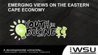 EMERGING VIEWS ON THE EASTERN
CAPE ECONOMY
 