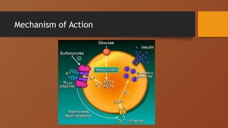 Mechanism of Action
 