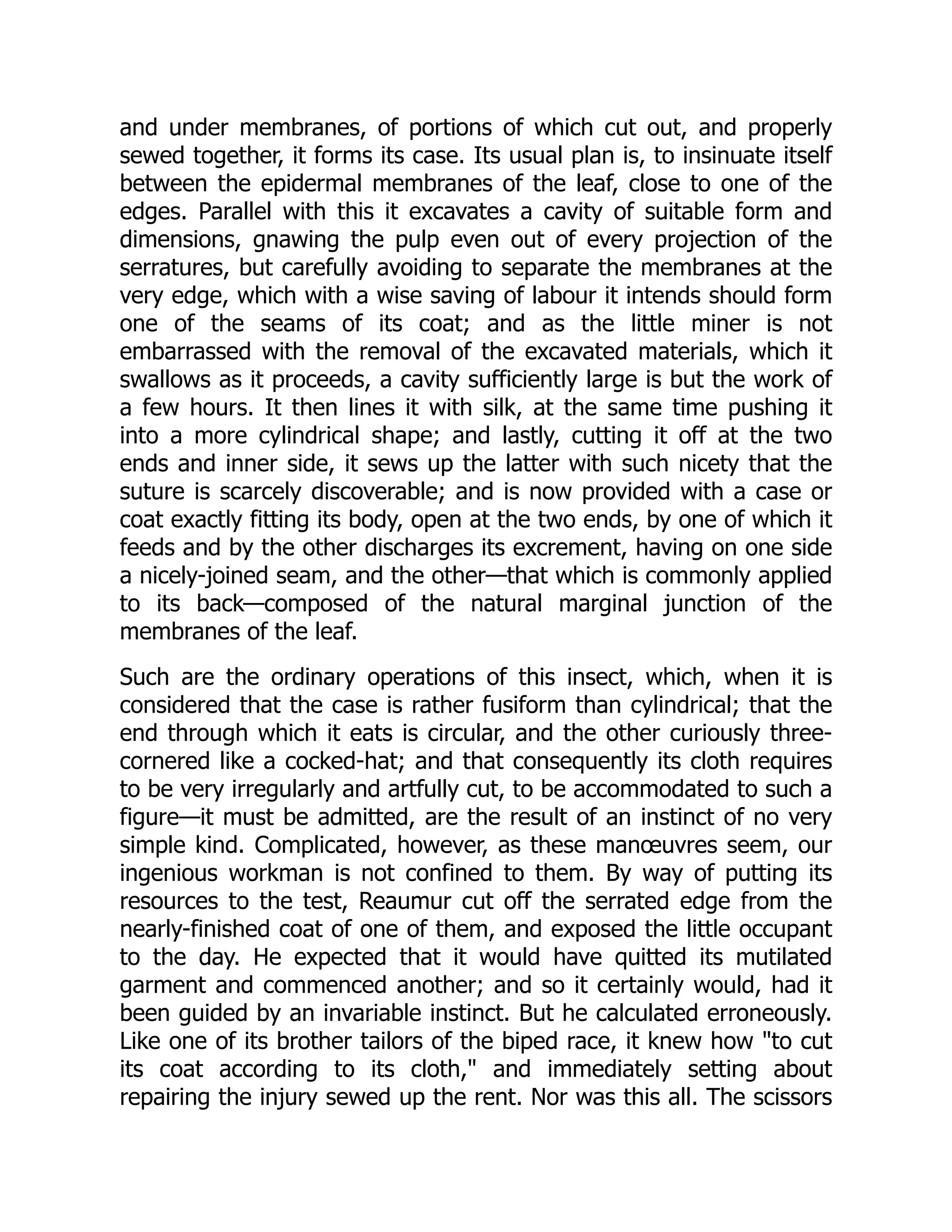 and under membranes, of portions of which cut out, and properly sewed together, it forms its case. Its usual plan is, to insinuate itself between the epidermal membranes of the leaf, close to one of the edges. Parallel with this it excavates a cavity of suitable form and dimensions, gnawing the pulp even out of every projection of the serratures, but carefully avoiding to separate the membranes at the very edge, which with a wise saving of labour it intends should form one of the seams of its coat; and as the little miner is not embarrassed with the removal of the excavated materials, which it swallows as it proceeds, a cavity sufficiently large is but the work of a few hours. It then lines it with silk, at the same time pushing it into a more cylindrical shape; and lastly, cutting it off at the two ends and inner side, it sews up the latter with such nicety that the suture is scarcely discoverable; and is now provided with a case or coat exactly fitting its body, open at the two ends, by one of which it feeds and by the other discharges its excrement, having on one side a nicely-joined seam, and the other—that which is commonly applied to its back—composed of the natural marginal junction of the membranes of the leaf. Such are the ordinary operations of this insect, which, when it is considered that the case is rather fusiform than cylindrical; that the end through which it eats is circular, and the other curiously three- cornered like a cocked-hat; and that consequently its cloth requires to be very irregularly and artfully cut, to be accommodated to such a figure—it must be admitted, are the result of an instinct of no very simple kind. Complicated, however, as these manœuvres seem, our ingenious workman is not confined to them. By way of putting its resources to the test, Reaumur cut off the serrated edge from the nearly-finished coat of one of them, and exposed the little occupant to the day. He expected that it would have quitted its mutilated garment and commenced another; and so it certainly would, had it been guided by an invariable instinct. But he calculated erroneously. Like one of its brother tailors of the biped race, it knew how "to cut its coat according to its cloth," and immediately setting about repairing the injury sewed up the rent. Nor was this all. The scissors 