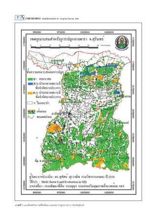9

7

ฉบับอิเล็กทรอนิกส์ 14 กรกฎาคม-กันยายน 2556

ภาพที่ 2 แผนที่เขตศักยภาพที่ดินที่เหมาะสมต่อการปลูกยางพารา จังหวัดสุรินท...