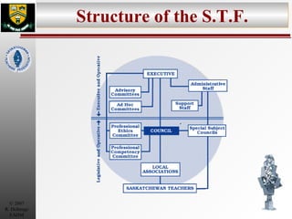 Structure of the S.T.F. 