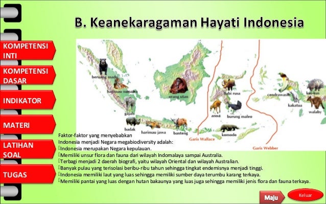 343376312 Bab 2 Keanekaragaman Hayati Ppt 343376312 Bab 2 Keanekaragaman Hayati Ppt