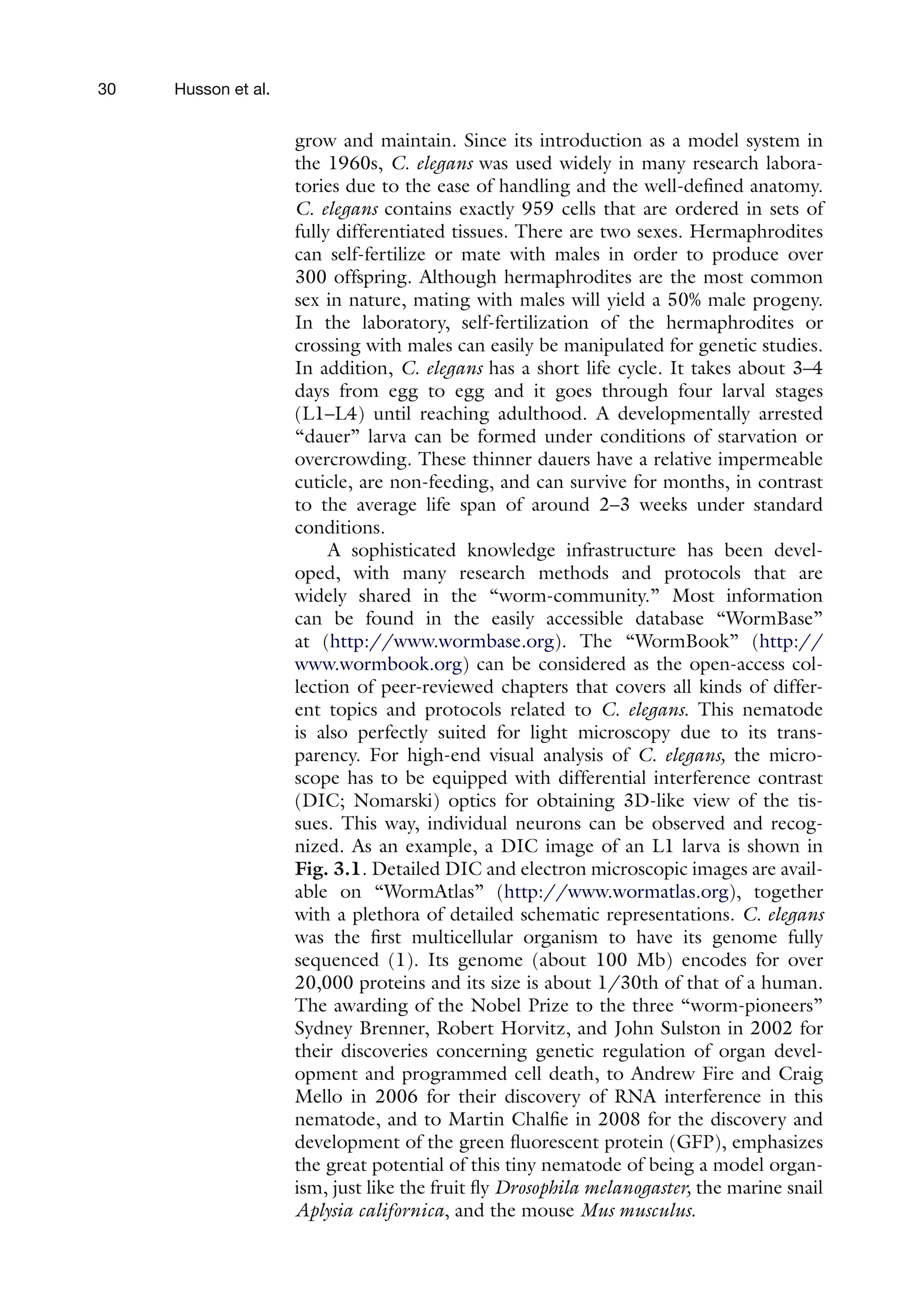 30 Husson et al.
grow and maintain. Since its introduction as a model system in
the 1960s, C. elegans was used widely in many research labora-
tories due to the ease of handling and the well-defined anatomy.
C. elegans contains exactly 959 cells that are ordered in sets of
fully differentiated tissues. There are two sexes. Hermaphrodites
can self-fertilize or mate with males in order to produce over
300 offspring. Although hermaphrodites are the most common
sex in nature, mating with males will yield a 50% male progeny.
In the laboratory, self-fertilization of the hermaphrodites or
crossing with males can easily be manipulated for genetic studies.
In addition, C. elegans has a short life cycle. It takes about 3–4
days from egg to egg and it goes through four larval stages
(L1–L4) until reaching adulthood. A developmentally arrested
“dauer” larva can be formed under conditions of starvation or
overcrowding. These thinner dauers have a relative impermeable
cuticle, are non-feeding, and can survive for months, in contrast
to the average life span of around 2–3 weeks under standard
conditions.
A sophisticated knowledge infrastructure has been devel-
oped, with many research methods and protocols that are
widely shared in the “worm-community.” Most information
can be found in the easily accessible database “WormBase”
at (http://www.wormbase.org). The “WormBook” (http://
www.wormbook.org) can be considered as the open-access col-
lection of peer-reviewed chapters that covers all kinds of differ-
ent topics and protocols related to C. elegans. This nematode
is also perfectly suited for light microscopy due to its trans-
parency. For high-end visual analysis of C. elegans, the micro-
scope has to be equipped with differential interference contrast
(DIC; Nomarski) optics for obtaining 3D-like view of the tis-
sues. This way, individual neurons can be observed and recog-
nized. As an example, a DIC image of an L1 larva is shown in
Fig. 3.1. Detailed DIC and electron microscopic images are avail-
able on “WormAtlas” (http://www.wormatlas.org), together
with a plethora of detailed schematic representations. C. elegans
was the first multicellular organism to have its genome fully
sequenced (1). Its genome (about 100 Mb) encodes for over
20,000 proteins and its size is about 1/30th of that of a human.
The awarding of the Nobel Prize to the three “worm-pioneers”
Sydney Brenner, Robert Horvitz, and John Sulston in 2002 for
their discoveries concerning genetic regulation of organ devel-
opment and programmed cell death, to Andrew Fire and Craig
Mello in 2006 for their discovery of RNA interference in this
nematode, and to Martin Chalfie in 2008 for the discovery and
development of the green fluorescent protein (GFP), emphasizes
the great potential of this tiny nematode of being a model organ-
ism, just like the fruit fly Drosophila melanogaster, the marine snail
Aplysia californica, and the mouse Mus musculus.
 