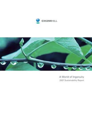 A World of Ingenuity
2007 Sustainability Report
 