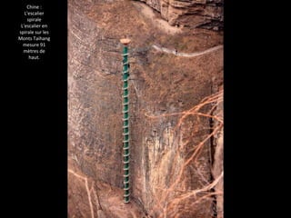 Chine :
L'escalier
spirale
L'escalier en
spirale sur les
Monts Taihang
mesure 91
mètres de
haut.
 