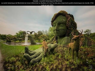 Canada : Le jardin botanique de Montréal
Le Jardin botanique de Montréal est situé à Montréal au Québec et il est l'un des plus importants jardins botaniques du monde. Il fût
créé en juin 1931.
 
