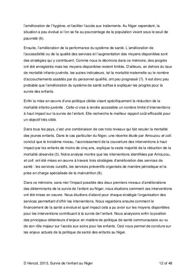 Niger fertility rate picture