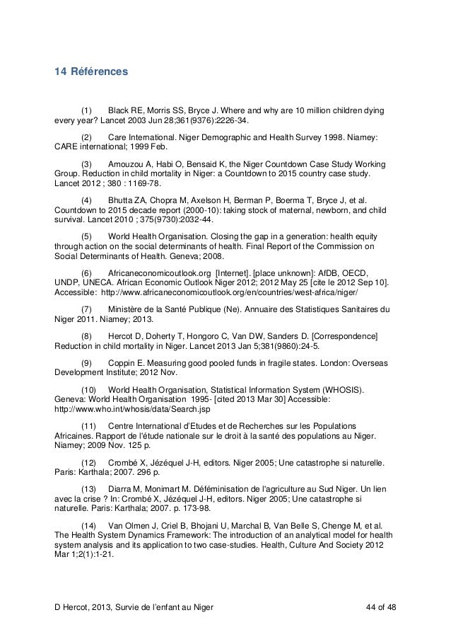 Niger case study picture