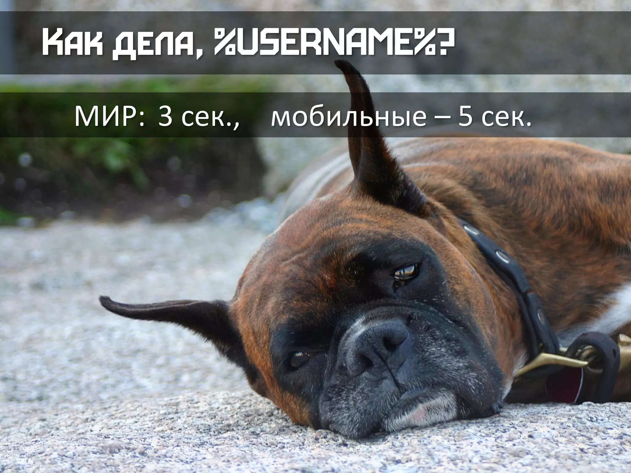 МИР: 3 сек., мобильные – 5 сек.
 