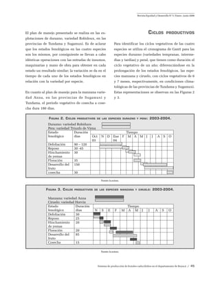 Sistema de producción de frutales caducifolios en el departamento de Boyacá / 45
Revista Equidad y Desarrollo No
5 / Enero - junio 2006
El plan de manejo presentado se realiza en las ex-
plotaciones de durazno, variedad Robidoux, en las
provincias de Tundama y Sugamuxi. Es de aclarar
que los estados fenológicos en las cuatro especies
son los mismos, por consiguiente se llevan a cabo
idénticas operaciones con las entradas de insumos,
maquinarias y mano de obra para obtener en cada
estado un resultado similar; la variación se da en el
tiempo de cada uno de los estados fenológicos en
relación con la variedad por especie.
En cuanto al plan de manejo para la manzana varie-
dad Anna, en las provincias de Sugamuxi y
Tundama, el período vegetativo de cosecha a cose-
cha dura 180 días.
CICLOS PRODUCTIVOS
Para identificar los ciclos vegetativos de las cuatro
especies se utiliza el cronograma de Gantt para las
especies durazno (variedades tempranas, interme-
dias y tardías) y peral, que tienen como duración el
ciclo vegetativo de un año; diferenciándose en la
prolongación de los estados fenológicos, las espe-
cies manzana y ciruelo, con ciclos vegetativos de 6
y 7 meses, respectivamente, en condiciones clima-
tológicas de las provincias de Tundama y Sugamuxi.
Estas representaciones se observan en las Figuras 2
y 3.
FIGURA 2. CICLOS PRODUCTIVOS DE LAS ESPECIES DURAZNO Y PERA: 2003-2004.
Fuente:laautora.
FIGURA 3. CICLOS PRODUCTIVOS DE LAS ESPECIES MANZANA Y CIRUELO: 2003-2004.
Fuente:laautora.
 