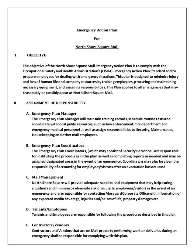 sample emergency action plans