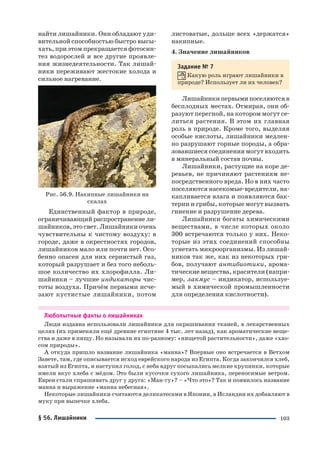 103
найти лишайники. Они обладают уди
вительной способностью быстро высы
хать, при этом прекращается фотосин
тез водорослей и все другие проявле
ния жизнедеятельности. Так лишай
ники переживают жестокие холода и
сильное нагревание.
Рис. 56.9. Накипные лишайники на
скалах
Единственный фактор в природе,
ограничивающий распространение ли
шайников, это свет. Лишайники очень
чувствительны к чистому воздуху: в
городе, даже в окрестностях городов,
лишайников мало или почти нет. Осо
бенно опасен для них сернистый газ,
который разрушает и без того неболь
шое количество их хлорофилла. Ли
шайники – лучшие индикаторы чис
тоты воздуха. Причём первыми исче
зают кустистые лишайники, потом
листоватые, дольше всех «держатся»
накипные.
4. Значение лишайников
Задание № 7
Какую роль играют лишайники в
природе? Использует ли их человек?
Лишайники первыми поселяются в
бесплодных местах. Отмирая, они об
разуют перегной, на котором могут се
литься растения. В этом их главная
роль в природе. Кроме того, выделяя
особые кислоты, лишайники медлен
но разрушают горные породы, а обра
зовавшиеся соединения могут входить
в минеральный состав почвы.
Лишайники, растущие на коре де
ревьев, не причиняют растениям не
посредственного вреда. Но в них часто
поселяются насекомые вредители, на
капливается влага и появляются бак
терии и грибы, которые могут вызвать
гниение и разрушение дерева.
Лишайники богаты химическими
веществами, в числе которых около
300 встречаются только у них. Неко
торые из этих соединений способны
угнетать микроорганизмы. Из лишай
ников так же, как из некоторых гри
бов, получают антибиотики, арома
тические вещества, красители (напри
мер, лакмус – индикатор, используе
мый в химической промышленности
для определения кислотности).
Любопытные факты о лишайниках
Люди издавна использовали лишайники для окрашивания тканей, в лекарственных
целях (их применяли ещё древние египтяне 4 тыс. лет назад), как ароматические веще
ства и даже в пищу. Но называли их по разному: «нищетой растительности», даже «хао
сом природы».
А откуда пришло название лишайника «манна»? Впервые оно встречается в Ветхом
Завете, там, где описывается исход еврейского народа из Египта. Когда закончился хлеб,
взятый из Египта, и наступил голод, с неба вдруг посыпались мелкие крупинки, которые
имели вкус хлеба с мёдом. Это были кусочки сухого лишайника, переносимые ветром.
Евреи стали спрашивать друг у друга: «Ман гу»? – «Что это»? Так и появилось название
манна и выражение «манна небесная».
Некоторые лишайники считаются деликатесами в Японии, в Исландии их добавляют в
муку при выпечке хлеба.
§ 56. Лишайники
 