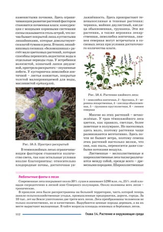 112
каменистыми почвами. Здесь ограни
чивающимразвитиерастенийфактором
становится почвенная влага: конкурен
ция с мощными корневыми системами
сосныоказываетсястольострой,чтопо
чвабываетпокрытойлишькустистыми
лишайниками, которые довольствуют
сявлагойтуманаиросы.Втакихлишай
никовыхсосняках«беломошниках»ра
стётмалоцветковыхрастений,которые
способны переносить недостаток воды в
отдельные периоды года. У ястребинки
волосистой, кошачьей лапки двудом
ной,прострелараскрытого–опушенные
побеги. У кустарничка зимолюбки зон
тичной – листья кожистые, покрытые
толстой малопроницаемой для воды,
маслянистой кутикулой.
Рис. 58.3. Прострел раскрытый
В темнохвойных лесах ограничива
ющим фактором становится количе
ство света, так как остальные условия
вполне благоприятны: относительно
плодородные почвы, достаточная ув
лажнённость. Здесь произрастают те
невыносливые и теневые растения:
черника, майник двулистный, кисли
ца обыкновенная, грушанка. Эти же
растения, а также вероника лекар
ственная, зимолюбка зонтичная, лин
нея северная могут встречаться в со
сновых лесах при условии достаточно
го количества влаги.
Рис. 58.4. Растения хвойного леса:
1 – зимолюбка зонтичная, 2 – брусника, 3 – ве
роникалекарственная,4–кислицаобыкновен
ная, 5 – грушанка круглолистная, 6 – линнея
северная
Многие из этих растений – вечно
зелёные. У трав тёмнохвойного леса
цветки, как правило, светлые, более
заметные в полумраке. Но насекомых
здесь мало, поэтому растения чаще
размножаются вегетативно. Здесь по
чти не бывает ветра, поэтому семена
этих растений настолько мелки, что
они, как пыль, переносятся даже сла
быми потоками воздуха.
Лиственные – мелколиственные и
широколиственныелесатакжеразлича
ются между собой, прежде всего – дре
веснымипородами.Широколиственные
Любопытные факты о лесах
Современные леса покрывают около 30% суши и занимают 5290 млн. га, 25% этой пло
щади сосредоточено в лесной зоне Северного полушария. Около половины всех лесов –
тропические.
В прошлом леса были распространены на большей территории, часть которой теперь
заняли сельскохозяйственные угодья, промышленные предприятия, дороги, города. За
10 тыс. лет на Земле уничтожено две трети всех лесов. Леса преобразованы человеком не
только количественно, но и качественно. Вырубаются ценные породы деревьев, а на их
месте вырастают малоценные. В тайге возросла площадь осиновых и берёзовых лесов.
Глава 14. Растение и окружающая среда
 