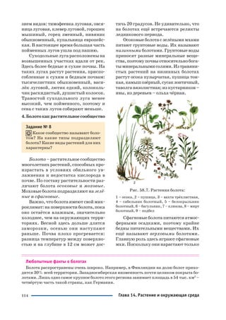 114
зием видов: тимофеевка луговая, овся
ницалуговая,клеверлуговой,горошек
мышиный, горец змеиный, нивяник
обыкновенный, купальница европейс
кая. В настоящее время большая часть
пойменных лугов ушла под пашню.
Суходольные луга расположены на
возвышенных участках вдали от рек.
Здесь более бедные и сухие почвы. На
таких лугах растут растения, приспо
собленные к сухим и бедным почвам:
тысячелистник обыкновенный, васи
лёк луговой, лютик едкий, колоколь
чик раскидистый, душистый колосок.
Травостой суходольного луга менее
высокий, чем пойменного, поэтому и
сена с таких лугов собирают меньше.
4.Болотокакрастительноесообщество
Задание № 8
Какое сообщество называют боло
том? На какие типы подразделяют
болота? Какие виды растений для них
характерны?
Болото – растительное сообщество
многолетних растений,способных про
израстать в условиях обильного ув
лажнения и недостатка кислорода в
почве. По составу растительности раз
личают болота осоковые и моховые.
Моховые болота подразделяют на зелё
ные и сфагновые.
Важно, что болота имеют свой мик
роклимат: на поверхности болота, пока
оно остаётся влажным, значительно
холоднее, чем на окружающих терри
ториях. Весной здесь дольше длятся
заморозки, осенью они наступают
раньше. Почва плохо прогревается:
разница температур между поверхно
стью и на глубине в 12 см может дос
тичь 20 градусов. Не удивительно, что
на болотах ещё встречаются реликты
ледникового периода.
Осоковые болота с зелёными мхами
питают грунтовые воды. Их называют
низинными болотами. Грунтовые воды
приносят разные минеральные веще
ства,поэтомупочвыотносительнобога
тыминеральнымисолями.Изтравяни
стых растений на низинных болотах
растут осока пузырчатая, пушица тон
кая,камышозёрный,сусакзонтичный,
таволга вязолистная; из кустарников –
ивы, из деревьев – ольха чёрная.
Рис. 58.7. Растения болота:
1 – осока, 2 – пушица, 3 – вахта трёхлистная,
4 – сабельник болотный, 5 – белокрыльник
болотный, 6 – багульник, 7 – клюква, 8 – мирт
болотный, 9 – подбел
Сфагновые болота питаются атмос
ферными осадками, поэтому крайне
бедны питательными веществами. Их
ещё называют верховыми болотами.
Главную роль здесь играют сфагновые
мхи. Поскольку они нарастают только
Любопытные факты о болотах
Болота распространены очень широко. Например, в Финляндии на долю болот прихо
дится 30% всей территории. Западносибирская низменность почти целиком покрыта бо
лотами. Лишь одно самое крупное болото этого региона занимает площадь в 54 тыс. км2
–
четвёртую часть такой страны, как Германия.
Глава 14. Растение и окружающая среда
 