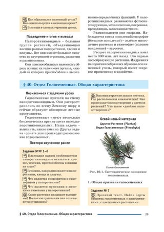 29
Как образовался каменный уголь?
Какониспользуетсявнастоящеевремя?
Выпиши в словарь термины урока.
Подведение итогов и выводы
Папоротниковидные – большая
группа растений, объединяющая
внешне разные папоротники, хвощи и
плауны. Все они имеют большое сход
ство во внутреннем строении, развитии
и размножении.
Ониприспособилиськназемномуоб
разу жизни: их тело имеет органы, каж
дый из которых приспособлен к выпол
нению определённых функций. У папо
ротниковидных развиваются фотосин
тезирующая,механическая,покровная,
проводящая, запасающая ткани.
Размножаются они спорами. На
блюдается смена поколений: спорофит
(бесполое поколение) – зелёное много
летнее растение и гаметофит (половое
поколение) – заросток.
Расцвет папоротниковидных имел
место 300 млн. лет назад. Это первые
лесообразующие растения. Из древних
папоротникообразных образовался ка
менный уголь, который имеет широ
кое применение в хозяйстве.
§ 40. Отдел Голосеменные. Общая характеристика
Познакомься с задачами урока
Голосеменные пришли на смену
папоротниковидным. Они распрост
ранились по всему Земному шару и
сейчас образуют обширные лесные
пространства.
Голосеменные имеют несколько
биологических преимуществ перед па
поротниковидными. Наша задача –
выяснить, какие именно. Другая зада
ча – узнать, как происходит размноже
ние голосеменных.
Повтори изученное ранее
Задания №№ 1–6
Благодаря каким особенностям
папоротниковидные оказались луч
ше, чем мхи, приспособлены к жизни
на суше?
Вспомни, как размножаются папо
ротники, хвощи и плауны.
Что является спорофитом и гаме
тофитом у папоротников?
Что является мужскими и женс
кими гаметами у папоротников?
Какие растения называют высши
ми? По каким признакам они отлича
ются от низших?
Вспомни строение завязи пестика.
Где расположены семязачатки? Как
происходит оплодотворение у цветков
растений? Что такое «двойное опло
дотворение»?
Освой новый материал
Царство Растения (Plantae)
Отдел Голосеменные (Pinophyta)
Рис. 40.1. Систематическое положение
голосеменных
1. Общие признаки голосеменных
Задание № 7
Прочитай текст. Найди черты
сходства голосеменных с папоротни
ками, с цветковыми растениями.
§ 40. Отдел Голосеменные. Общая характеристика
 