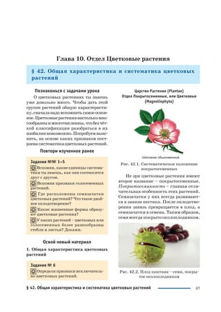 37
Глава 10. Отдел Цветковые растения
§ 42. Общая характеристика и систематика цветковых
растений
Познакомься с задачами урока
О цветковых растениях ты знаешь
уже довольно много. Чтобы дать этой
группе растений общую характеристи
ку,сначаланадовспомнитьсамоеоснов
ное.Цветковыерастениянастолькомно
гообразныимногочисленны,чтобезчёт
кой классификации разобраться в их
изобилииневозможно.Попробуемвыяс
нить, на основе каких признаков пост
роенасистематикацветковыхрастений.
Повтори изученное ранее
Задания №№ 1–5
Вспомни, какие единицы система
тики ты знаешь, как они соотносятся
друг с другом.
Вспомни признаки голосеменных
растений.
Где расположены семязачатки
цветковых растений? Что такое двой
ное оплодотворение?
Какие жизненные формы образу
ют цветковые растения?
У каких растений – цветковых или
голосеменных более разнообразны
стебли и листья? Докажи.
Освой новый материал
1. Общая характеристика цветковых
растений
Задание № 6
Определи признаки исключитель
но цветковых растений.
Царство Растения (Plantae)
Отдел Покрытосеменные, или Цветковые
(Magnoliophyta)
Рис. 42.1. Систематическое положение
покрытосеменных
Не зря цветковые растения имеют
второе название – покрытосеменные.
Покрытосемянность – главная отли
чительная особенность этих растений.
Семязачатки у них всегда развивают
ся в завязи пестика. После оплодотво
рения завязь превращается в плод, а
семязачатки в семена. Таким образом,
семя всегда покрыто околоплодником.
Рис. 42.2. Плод каштана – семя, покры
тое околоплодником
§ 42. Общая характеристика и систематика цветковых растений
 