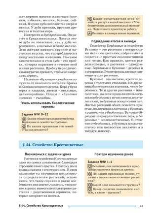 43
жат кормом многим животным (оле
ням, кабанам, мышам, белкам, сой
кам). В кроне дуба поселяются звери и
птицы. У дуба крепкая, прочная дре
весина и толстая кора.
Интересен и дуб пробковый. Он ра
стёт в Средиземноморье. Листья это
го дуба не лопастные, как у дуба че
решчатого, а цельные и более мелкие.
Зато жёлуди намного крупнее и на
столько вкусны, что употребляются в
пищу местными жителями. Но самое
замечательное в этом дубе – его проб
ка, которая нарастает в течение всей
жизни растения. Пробку периодичес
ки аккуратно срезают, чтобы не навре
дить дереву.
Название «буковые» семейство по
лучило от знакомого жителям Крыма
и Кавказа мощного дерева. Кора у бука
серая и гладкая, листья – овальные,
цельнокрайние. Плоды – «буковые
орешки» – съедобны.
Учись использовать биологические
термины
Задания №№ 9–12
Назови общие признаки семейства
Берёзовые и семейства Буковые.
По каким признакам эти семей
ства различаются?
Какие представители этих се
мейств растут в вашей местности? Со
берите о них дополнительный матери
ал. Подготовьте проектную работу.
Выпишивсловарьновыетермины.
Подведение итогов и выводы
Семейство Берёзовые и семейство
Буковые – это растения с невзрачны
ми мелкими цветками, собранными в
соцветия, с простым околоцветником
или голые. Как правило, цветки раз
дельнополые, а растения – однодом
ные. Берёзовые и буковые – деревья и
кустарники. Это ветроопыляемые ран
нецветущие растения.
Буковые – это высокие, крепкие де
ревья с толстыми стволами. Их древе
сина более крепкая и ценная, чем у бе
рёзовых. Те и другие растения – мно
голетние, но если продолжительность
жизни берёзовых исчисляется десяти
летиями, то буковые живут сотни лет.
Листья растений обоих семейств про
стые, нолистовая пластинка у буковых
крупнее, чем у берёзовых. Буковые об
разуют широколиственные леса, а бе
рёзовые – мелколиственные. В отли
чие от берёзовых, у буковых плоды ча
стично или полностью заключены в
твёрдую плюску.
§ 44. Семейство Крестоцветные
Познакомься с задачами урока
Растения семейства Крестоцветные
одни из самых узнаваемых благодаря
строению своего цветка. Поэтому мы и
познакомимся с его строением. В этом
параграфе ты научишься пользовать
ся определителем растений, вспом
нишь, что такое сорняки и какие осо
бенности они имеют, узнаешь, что мно
гие хорошо известные культурные ра
стения – родственники сорняков, ко
торые засоряют их посевы.
Повтори изученное ранее
Задания №№ 1–4
Вспомни, как записывается и рас
шифровывается формула цветка.
По каким признакам можно от
личить насекомоопыляемые расте
ния?
Какой плод называется стручком?
Какое соцветие называется кис
тью, а какое – щитком?
§ 44. Семейство Крестоцветные
 