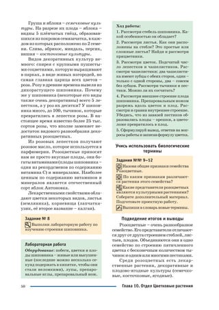 50
Груша и яблоня – семечковые куль
туры. На разрезе их плода – яблока –
видны 5 плёнчатых гнёзд, образовав
шихсяизпокрововсемязачатка,вкаж
дом из которых расположено по 2 семе
ни. Слива, абрикос, миндаль, персик,
вишня – косточковые культуры.
Видов декоративных культур не
много: спирея с крупными пушисты
ми соцветиями, которую выращивают
в парках, в виде живых изгородей, но
самая главная царица всех цветов –
роза. Розу в древние времена вывели из
дикорастущего шиповника. Почему
же у шиповника (некоторые его виды
также очень декоративны) всего 5 ле
пестков, а у роз их десятки? У шипов
ника много, до 100, тычинок, которые
превратились в лепестки розы. В на
стоящее время известно более 25 тыс.
сортов розы, что вполне заменяет не
достаток видового разнообразия деко
ративных розоцветных.
Из розовых лепестков получают
розовое масло, которое используется в
парфюмерии. Розоцветные приносят
нам не просто вкусные плоды, они бо
гаты витаминами (плоды шиповника –
одни из рекордсменов по содержанию
витамина С) и минералами. Наиболее
ценным по содержанию витаминов и
минералов является отечественный
сорт яблок Антоновка.
Лекарственными свойствами обла
дают цветки некоторых видов, листья
(земляника), корневища (лапчатка
узик, её второе название – калган).
Задание № 8
Выполни лабораторную работу по
изучению строения шиповника.
Лабораторная работа
Оборудование: побеги, цветки и пло
ды шиповника – живые или высушен
ные (последние можно несколько се
кунд подержать в кипятке, чтобы они
стали неломкими), лупы, препаро
вальные иглы, препаровальный нож.
Ход работы:
1. Рассмотри стебель шиповника. Ка
кой особенностью он обладает?
2. Рассмотри листья. Как они распо
ложены на стебле? Это простые или
сложные листья? Найди и рассмотри
прицветники.
3. Рассмотри цветок. Подсчитай чис
ло лепестков и чашелистиков. Рас
смотри чашелистики: два чашелисти
ка имеют зубцы с обеих сторон, один –
только с одной стороны, два – совсем
без зубцов. Рассмотри тычинки и пес
тики. Можно ли их сосчитать?
4. Рассмотри внешнее строение плода
шиповника. Препаровальным ножом
разрежь вдоль цветок и плод. Рас
смотри и сравни внутреннее строение.
Убедись, что из завязей пестиков об
разовались плоды – орешки, а цвето
ложе превратилось в плод.
5. Сформулируй вывод, ответив на воп
росыработыизаписавформулуцветка.
Учись использовать биологические
термины
Задания №№ 9–12
Назови общие признаки семейства
Розоцветные.
По каким признакам различают
ся растения этого семейства?
Какие представители розоцветных
являются культурными растениями?
Соберите дополнительный материал.
Подготовьте проектную работу.
Выпишивсловарьновыетермины.
Подведение итогов и выводы
Розоцветные – очень разнообразное
семейство.Егопредставителиотличают
сядруготдругастроениемстеблей,лис
тьев, плодов. Объединяются они в одно
семейство по строению пятичленного
цветка с бесконечным количеством ты
чинокиоднимилимногимипестиками.
Среди розоцветных есть лекар
ственные растения, декоративные и
плодово ягодные культуры (семечко
вые, косточковые, ягодные).
Глава 10. Отдел Цветковые растения
 