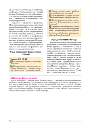 72
му растению служат ходульные (опор
ные) корни. У неё длинные (до 1 метра)
листья. Стебли, в отличие от большин
ствазлаков,неполые,азаполненытка
нью. Удивительно, но этот гигант – од
нолетнее растение.
Кукуруза – однодомное растение.
Женские соцветия, початки, закутаны
в своеобразную обёртку из видоизме
нённых листьев. Расположены они в
пазухах листьев. Пестики представля
ют собой округлую завязь, длинный
шелковистый столбик и два рыльца.
Мужские соцветия, метёлки, располо
жены на верхушке растения. Кукуру
за – перекрёстноопыляемое растение.
Пыльца созревает несколькими днями
раньше, чем на этом же растении по
являются рыльца пестиков.
Учись использовать биологические
термины
Задания №№ 12–18
Назови общие признаки семейства
Злаковые.
Назовидикорастущиезлаковыера
стения. Какие из них – ценные кормо
вые травы, какие – сорные растения?
Какие злаковые имеют наиболь
шее хозяйственное значение?
Какие зерновые культуры являют
ся холодостойкими, теплолюбивыми?
Какие два вида пшеницы вошли в
культуру? В чём заключаются их осо
бенности?
Соберите дополнительную инфор
мацию об отдельных злаковых расте
ниях. Подготовьте проектную работу.
Кто назовёт больше видов расте
ний семейства Злаковые?
Подведение итогов и выводы
Крупнейшеесемействооднодольных
растенийиважнейшее(схозяйственной
точки зрения) – семейство Злаковые
имеет ряд общих признаков. Наиболее
характерный из них – стебель соломи
на. Листья линейные, с сильно разрос
шимисяоснованиями,которыеохваты
вают стебель. Цветки мелкие, с двумя
цветочными чешуями, тремя тычинка
ми,пестикодин.Соцветиесложныйко
лос, метёлка или султан. Плод – зерно
вка. Многие злаковые – ценные кор
мовые травы. Злаковые культуры –
важнейшие пищевые растения. Среди
них – пшеница, рис, кукуруза.
Любопытные факты о растениях
Родина кукурузы – Центральная и Южная Америка. Уже несколько тысячелетий она
возделывалась индейцами. Дикорастущие предки кукурузы не найдены. В Европу куку
руза попала в 1493 году, а в России её стали возделывать в XVII веке. Кукуруза – одна из
ведущих зерновых культур мирового земледелия, но в районах с умеренным климатом
зерно кукурузы не вызревает, поэтому её выращивают на силос. Но уже выведены сорта,
которые дают зерно в средней полосе и в Сибири.
 
