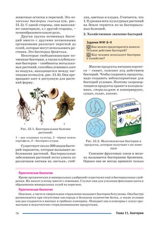 78
животные остатки в перегной. Это по
чвенные бактерии гниения (см. рис.
51.5). С одной стороны, они выполня
ют санитарную, а с другой стороны, –
почвообразовательную роль.
Другая группа почвенных бакте
рий вместе с другими почвенными
организмами разлагает перегной до
солей, которые могут использовать ра
стения. Это бактерии брожения.
Некоторые свободноживущие по
чвенные бактерии, а также клубенько
вые бактерии – симбионты мотылько
вых растений, способны усваивать азот
из воздуха, находящегося между час
тицами почвы (см. рис. 51.6). Они пре
вращают азот в доступную для расте
ний форму.
Рис. 52.1. Бактериальные болезни
растений:
1 – рак плодовых культур, 2 –чёрная ножка
картофеля, 3 – бактериоз огурца
Существует около 300 видов бакте
рий паразитов, которые вызывают за
болевания растений. Бактериальные
заболевания растений легко узнать по
различным пятнам на листьях, стеб
лях, цветках и плодах. Считается, что
1/8 урожая всех культурных растений
на Земле теряется из за бактериаль
ных болезней.
2. Хозяйственное значение бактерий
Задания №№ 8–9
Как можно предотвратить нежела
тельное действие бактерий?
Как человек использует бактерии
в хозяйстве?
Многие продукты питания портят
ся – гниют, скисают под действием
бактерий. Чтобы сохранить продукты,
надо создавать неблагоприятные для
бактерий условия. Поэтому скоропор
тящиеся продукты хранят в холодиль
нике, стерилизуют и консервируют,
сушат, солят, коптят.
Рис. 52.2. Молочнокислые бактерии и
продукты, которые получают с их помо
щью
Скисание фруктовых соков и моло
ка вызывается бактериями брожения.
Однако они не всегда приносят только
Практическая биология
Кроме органических и минеральных удобрений существуют ещё и бактериальные удоб
рения. Их вносят в почву вместе с семенами. Служат они для усиления фиксации азота и
образования минеральных солей из перегноя.
Практическая биология
Опасные, а часто и смертельные отравления вызывает бактерия ботулизма. Она быстро
размножается при отсутствии кислорода и большом количестве белка, а такие условия
как раз создаются в мясных и грибных консервах. Попадает она в консервы с плохо про
мытыми и недостаточно стерилизованными продуктами.
Глава 11. Бактерии
 
