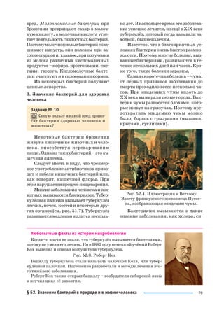 79
вред. Молочнокислые бактерии при
брожении превращают сахар в молоч
ную кислоту, а молочная кислота угне
таетдеятельностьгнилостныхбактерий.
Поэтомумолочнокислыебактериисква
шивают капусту, они полезны при за
солкеогурцови,главное,приполучении
из молока различных кисломолочных
продуктов–кефира,простокваши,сме
таны, творога. Кисломолочные бакте
рии участвуют и в силосовании кормов.
Из некоторых бактерий получают
ценные лекарства.
3. Значение бактерий для здоровья
человека
Задание № 10
Какую пользу и какой вред прино
сят бактерии здоровью человека и
животных?
Некоторые бактерии брожения
живут в кишечнике животных и чело
века, способствуя перевариванию
пищи. Одна из таких бактерий – это ки
шечная палочка.
Следует иметь в виду, что чрезмер
ное употребление антибиотиков приво
дит к гибели кишечных бактерий или,
как говорят, кишечной флоры. При
этомнарушаетсяпроцесспищеварения.
Многие заболевания человека и жи
вотныхвызываютсябактериями.Тубер
кулёзная палочка вызывает туберкулёз
лёгких, почек, костей и некоторых дру
гих органов (см. рис. 51.7). Туберкулёз
развиваетсямедленноидлитсянесколь
ко лет. В настоящее время это заболева
ниеуспешнолечится,ноещёвXIXвеке
туберкулёз,которыйтогданазывалича
хоткой, был неизлечим.
Известно, что в благоприятных ус
ловиях бактерии очень быстро размно
жаются. Поэтому многие болезни, выз
ванные бактериями, развиваются в те
чение нескольких дней или часов. Кро
ме того, такие болезни заразны.
Самая скоротечная болезнь – чума:
от первых признаков заболевания до
смерти проходило всего несколько ча
сов. При эпидемиях чумы вплоть до
ХХ века вымирали целые города. Бак
терии чумы разносятся блохами, кото
рые живут на грызунах. Поэтому пре
дотвратить эпидемию чумы можно
было, борясь с грызунами (мышами,
крысами, сусликами).
Рис. 52.4. Иллюстрация к Ветхому
Завету французского живописца Пуссе
на, изображающая эпидемию чумы.
Бактериями вызываются и такие
опасные заболевания, как холера, си
Любопытные факты из истории микробиологии
Когда то врачи не знали, что туберкулёз вызывается бактериями,
потому не умели его лечить. Но в 1882 году немецкий учёный Роберт
Кох выделил и описал возбудителя туберкулёза.
Рис. 52.3. Роберт Кох
Бациллу туберкулёза стали называть палочкой Коха, или тубер
кулёзной палочкой. Постепенно разработали и методы лечения это
го тяжёлого заболевания.
Роберт Кох также открыл бациллу – возбудителя сибирской язвы
и изучил цикл её развития.
§ 52. Значение бактерий в природе и в жизни человека
 