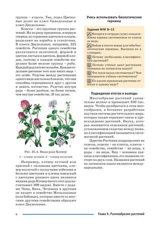 8
группы – классы. Так, отдел Цветко
вые делят на класс Однодольные и
класс Двудольные.
Классы – это крупные группы рас
тений. Их по ряду признаков, в первую
очередь по строению цветков и плодов,
разделяют на порядки и семейства.
В классе Двудольные, например, 325
семейств. Растения одного семейства
различаются величиной, формой и
цветом листьев и цветков, формой пло
дов, поэтому в каждом семействе вы
деляют более мелкие группы – роды.
Каждыйродсостоитизвидов.Каждоеот
дельное растение того или иного вида –
это особь. Родство между растениями
одного вида настолькоблизкое,чтоони
способны скрещиваться друг с другом
и давать потомство. Родство внутри
рода – более далёкое, но более тесное,
чем внутри семейства. И так далее.
Рис. 35.4. Виды рода Клевер:
1 – клевер луговой, 2 – клевер ползучий
Например, клевер луговой или
красный с лиловыми цветками, кле
вер ползучий с ползучими побегами и
белыми цветками и клевер шведский
с цветками розового цвета являются
видами рода Клевер (всего этот род на
считывает 300 видов). Вместе с рода
ми Чина, Вика, Чечевица и другими
он входит в семейство Мотыльковые
(или бобовые), которые вместе со мно
гими другими семействами образуют
класс Двудольные.
Учись использовать биологические
термины
Задания №№ 8–13
Начерти в тетради схему соподчи
нения единиц систематики от отдела
до вида.
Найди в тексте новые для тебя био
логические термины. Выпиши их в
словарик.
Почему необходима классифика
ция растений?
Почему учёные дают растениям
названия на латинском языке?
Что такое наука систематика? Чем
занимаются учёные систематики?
По каким признакам растения от
носят к одному виду?
Подведение итогов и выводы
Многообразие растений удиви
тельно велико и превышает 350 тыс.
видов. Чтобы разобраться в этом мно
гообразии, в ботанике разработана
научная система растительного мира,
которая также отражает связи и про
исхождение растений. Наука, кото
рая занимается описанием растений,
установлением сходства между ними,
их классификацией называется систе
матикой растений.
Царство Растения подразделяют на
отделы, отделы – на классы, классы –
на семейства, семейства – на роды, а
роды – на виды. Вид – основная еди
ница классификации, его название со
стоит из двух слов. Названия растений
на латинском языке являются между
народными.
Глава 9. Разнообразие растений
 
