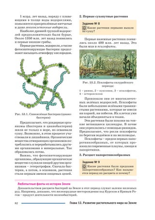 82
1 млрд. лет назад, наряду с плава
ющими в толще воды водорослями,
появляются прикреплённые нитчатые
и даже многоклеточные водоросли.
Наиболее древней группой водорос
лей предположительно были бурые.
Около 1350 млн. лет назад появились
и первые низшие грибы.
Первыерастения,водоросли,атакже
фотосинтезирующие бактерии продол
жают насыщать атмосферу кислородом.
Рис. 53.1. Синезелёные бактерии (циано
бактерии)
Предполагают,чтодоядерныеорга
низмы (бактерии и цианобактерии)
жили не только в море, но осваивали
сушу. Возможно, в этом процессе уча
ствовали и лишайники. Органические
вещества отмирающих организмов по
треблялись и перерабатывались други
ми организмами в минеральные. Так
образовалась почва.
Важно, что фотосинтезирующие
организмы, образующие органическое
вещество служили пищей другим орга
низмам – гетеротрофам. Сначала бак
терии, а потом, в основном, растения
стали первым звеном пищевых цепей.
2. Первые сухопутные растения
Задание № 8
Какие растения первыми вышли
на сушу?
Первые наземные растения появи
лись около 400 млн. лет назад. Это
были мхи и псилофиты.
Рис. 53.2. Псилофиты силурийского
периода:
1 – риния, 2 – куксония, 3 – псилофитон,
4 – астероксилон
Произошли они от многоклеточ
ных зелёных водорослей. Псилофиты
были небольшими зелёными травяни
стыми растениями, которые не имели
ни корней, ни побегов. Их клетки уже
начали объединяться в ткани.
Эти растения были похожи на тон
кие ветвящиеся цилиндры. В почве
они укреплялись с помощью ризоидов.
Предполагают, что росли псилофиты
по берегам водоёмов и на мелководье.
Псилофиты – предки первых папо
ротникообразных, от которых про
изошли современные плауны, хвощи и
папоротники.
3. Расцвет папоротникообразных
Задание № 9
Какие растения были предками
папоротникообразных? Как называ
ется период их расцвета и почему?
Любопытные факты из истории Земли
Доказательством расцвета бактерий на Земле в этот период служат залежи железных
руд. Например, доказано, что железорудные месторождения под Курском и Кривым Ро
гом – продукт деятельности железобактерий.
Глава 12. Развитие растительного мира на Земле
 