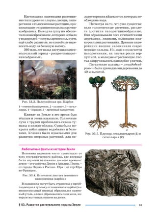 83
Настоящими наземными растения
мисталидревниеплауны,хвощи,папо
ротники иголосеменныерастения,про
изошедшиеотпримитивныхпапоротни
кообразных. Выход на сушу им обеспе
чилоновообразование,которогонебыло
у водорослей – сосуды древесины, пусть
ещё слабо развитые, но способные пере
носить воду на большую высоту.
360 млн. лет назад наступил камен
ноугольный период – расцвет папорот
никообразных.
Рис. 53.3. Палеозойская эра. Карбон
1–семеннойпапоротник,2–каламит,3–сигил
лярия, 4 – кордаит, 5 – древесный папоротник
Климат на Земле в это время был
тёплым и очень влажным. Солнечные
лучи с трудом пробивались сквозь ту
маны и низкие облака. Суша была по
крыта небольшими водоёмами и боло
тами. Условия были идеальными для
развития споровых растений, для оп
лодотворения яйцеклеток которых не
обходима вода.
Несмотря на то, что уже существо
вали голосеменные растения, расцве
та достигли папоротникообразные.
Они образовывали леса с гигантскими
деревьями, лианами, пышными низ
корослыми растениями. Древние папо
ротники внешне напоминали совре
менные пальмы. Но, как и полагается
папоротникам, их листья росли вер
хушкой, а молодые отрастающие лис
тья закручивались наподобие улитки.
Гигантские плауны – лепидоденд
роны – были громадными деревьями до
40 м высотой.
Рис. 53.5. Плауны: лепидодендрон (1) и
сигиллярия (2)
Любопытные факты из истории Земли
Названия периодов часто происходят от
того географического района, где впервые
были изучены отложения данного времени:
девон – от графства Девон в Англии. Пермь –
от города Пермь в России. Юра – от гор Юра
во Франции.
Рис. 53.4. Отпечаток листьев семенного
папоротника (карбон)
В названиях могут быть отражены и преоб
ладающие в ту эпоху отложения: в карбон (ка
менноугольный период) образовался камен
ный уголь, а в мел образовались слои мела, ко
торым мы теперь пишем на доске.
§ 53. Развитие растительного мира на Земле
 