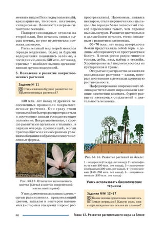 86
менным видом Гинкго двулопастный),
араукариевые, тиссовые, пихтовые,
кипарисовые. Появляются первые ги
гантские секвойи.
Папоротниковидные отошли на
второй план. Они остались лишь в сы
рых местах, но уже не достигали пре
жних размеров.
Растительный мир морей менялся
гораздо медленнее. Вслед за бурыми
водорослями появились зелёные, а
последними, около 130 млн. лет назад,
красные – наиболее высоко организо
ванная группа водорослей.
5. Появление и развитие покрытосе
менных растений
Задание № 11
С чем связано бурное развитие по
крытосеменных растений?
130 млн. лет назад от древних го
лосеменных произошли покрытосе
менные растения. Они сразу стали
чрезвычайно быстро распространяться
и постепенно заняли господствующее
положение. Покрытосеменные, с хоро
шо развитыми органами и тканями, в
первую очередь проводящей, могли
приспособиться к самым разным усло
виям обитания и образовали многочис
ленные формы.
Рис. 53.13. Отпечаток ископаемого
цветка (слева) и цветок современной
магнолии (справа)
Упокрытосеменныхвозникцветок–
орган размножения, привлекающий
цветом, запахом и нектаром насеко
мых (которые в это время широко рас
пространились). Насекомые, питаясь
нектаром, стали переносчиками пыль
цы. Это гораздо более экономный спо
соб перенесения гамет, чем перенос
пыльцы ветром. Развитие цветковых и
в дальнейшем осталось тесно связан
ным с развитием насекомых.
60–70 млн. лет назад поверхность
Земли представляла собой горы и до
лины, обширные сухие пространства и
болота. В лесах росли рядом гинкго и
тополя, дубы, ивы, клёны и секвойи.
Хорошо развитый подлесок состоял из
кустарников и травы.
Открытые пространства захватили
однодольные растения – злаки, кото
рые постепенно вытеснили древесную
растительность.
На формирование современного об
лика растительного мира оказали вли
яние изменения климата, бурное раз
витие насекомых опылителей и дея
тельность человека.
Рис. 53.14. Развитие растений на Земле:
1 – водоросли (1 млрд. лет назад), 2 – псилофи
ты и мхи (400 млн. лет назад), 3 – папоротни
кообразные(300млн.летназад),4–голосемен
ные (150–250 млн. лет назад), 5 – покрытосе
менные (130 млн. лет назад)
Учись использовать биологические
термины
Задания №№ 12–17
Какиеживыеорганизмыпоявились
на Земле первыми? Какую роль они
сыграливразвитиижизнинапланете?
Глава 12. Развитие растительного мира на Земле
 