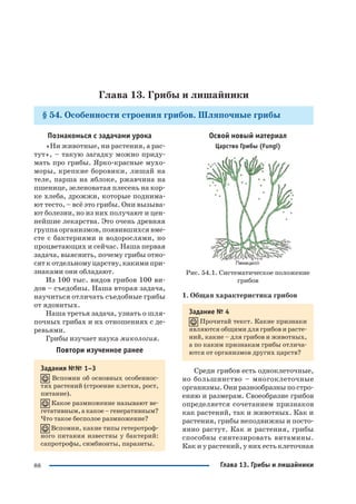 88
Глава 13. Грибы и лишайники
§ 54. Особенности строения грибов. Шляпочные грибы
Познакомься с задачами урока
«Ни животные, ни растения, а рас
тут», – такую загадку можно приду
мать про грибы. Ярко красные мухо
моры, крепкие боровики, лишай на
теле, парша на яблоке, ржавчина на
пшенице, зеленоватая плесень на кор
ке хлеба, дрожжи, которые поднима
ют тесто, – всё это грибы. Они вызыва
ют болезни, но из них получают и цен
нейшие лекарства. Это очень древняя
группа организмов, появившихся вме
сте с бактериями и водорослями, но
процветающих и сейчас. Наша первая
задача, выяснить, почему грибы отно
сят к отдельному царству, какими при
знаками они обладают.
Из 100 тыс. видов грибов 100 ви
дов – съедобны. Наша вторая задача,
научиться отличать съедобные грибы
от ядовитых.
Наша третья задача, узнать о шля
почных грибах и их отношениях с де
ревьями.
Грибы изучает наука микология.
Повтори изученное ранее
Задания №№ 1–3
Вспомни об основных особеннос
тях растений (строение клетки, рост,
питание).
Какое размножение называют ве
гетативным, а какое – генеративным?
Что такое бесполое размножение?
Вспомни, какие типы гетеротроф
ного питания известны у бактерий:
сапротрофы, симбионты, паразиты.
Освой новый материал
Царство Грибы (Fungi)
Рис. 54.1. Систематическое положение
грибов
1. Общая характеристика грибов
Задание № 4
Прочитай текст. Какие признаки
являются общими для грибов и расте
ний, какие – для грибов и животных,
а по каким признакам грибы отлича
ются от организмов других царств?
Среди грибов есть одноклеточные,
но большинство – многоклеточные
организмы. Они разнообразны по стро
ению и размерам. Своеобразие грибов
определяется сочетанием признаков
как растений, так и животных. Как и
растения, грибы неподвижны и посто
янно растут. Как и растения, грибы
способны синтезировать витамины.
Как и у растений, у них есть клеточная
Глава 13. Грибы и лишайники
 