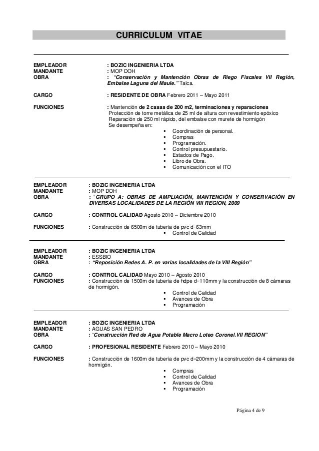Curriculum vitae examples pdf picture