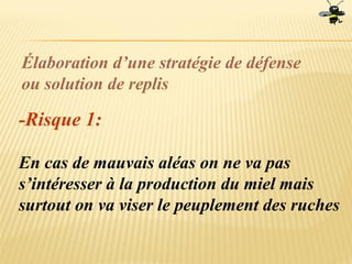 Élaboration d’une stratégie de défense
ou solution de replis
-Risque 1:
En cas de mauvais aléas on ne va pas
s’intéresser à la production du miel mais
surtout on va viser le peuplement des ruches
 