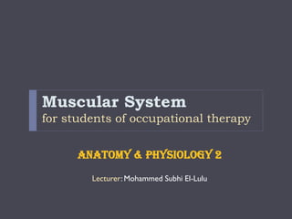 Muscular System
for students of occupational therapy


      Anatomy & physiology 2

        Lecturer: Mohammed Subhi El-Lulu
 