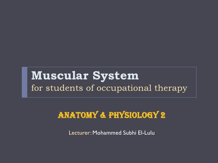 the muscular system btec anatomy and physiology task 2 Unit 1 principles of anatomy and physiology in sport task sheet 11 the main bones of p1 describe the structure and function of the skeletal system label the label the diagram of the respiratory system 1 6 2 3 4 5 7. the muscular system btec anatomy and physiology task 2 Unit 1 principles of anatomy and physiology in sport task sheet 11 the main bones of p1 describe the structure and function of the skeletal system label the label the diagram of the respiratory system 1 6 2 3 4 5 7.