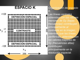 Organización del espacio 
K. 
Las líneas centrales 
obtenidas con los valores 
menores de Gy (bajas 
frecuencias) contribuyen 
principalmente al 
contraste en la imagen, 
mientras que las líneas 
periféricas, obtenidas con 
los valores mayores de 
Gy (frecuencias altas) 
contribuyen 
principalmente en la 
resolución espacial. 
 