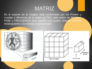 MATRIZ 
Es el soporte de la imagen, esta conformada por los Pixeles y 
voxeles a diferencia de la matriz en TAC, esta matriz de RM tiene 
FASE y FRECUENCIA esto significa que puedo obtener matrices 
rectangulares y se maneja en porcentajes 
 