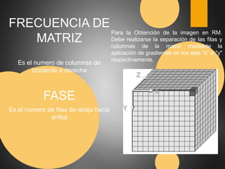 FRECUENCIA DE 
MATRIZ 
Es el numero de columnas de 
izquierda a derecha 
FASE 
Es el numero de filas de abajo hacia 
arriba 
Para la Obtención de la imagen en RM. 
Debe realizarse la separación de las filas y 
columnas de la matriz mediante la 
aplicación de gradientes en los ejes "x" e "y" 
respectivamente. 
 