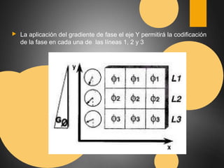 ▶ La aplicación del gradiente de fase el eje Y permitirá la codificación 
de la fase en cada una de las líneas 1, 2 y 3 
 