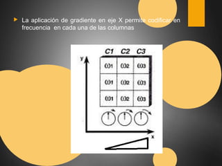 ▶ La aplicación de gradiente en eje X permite codificar en 
frecuencia en cada una de las columnas 
 